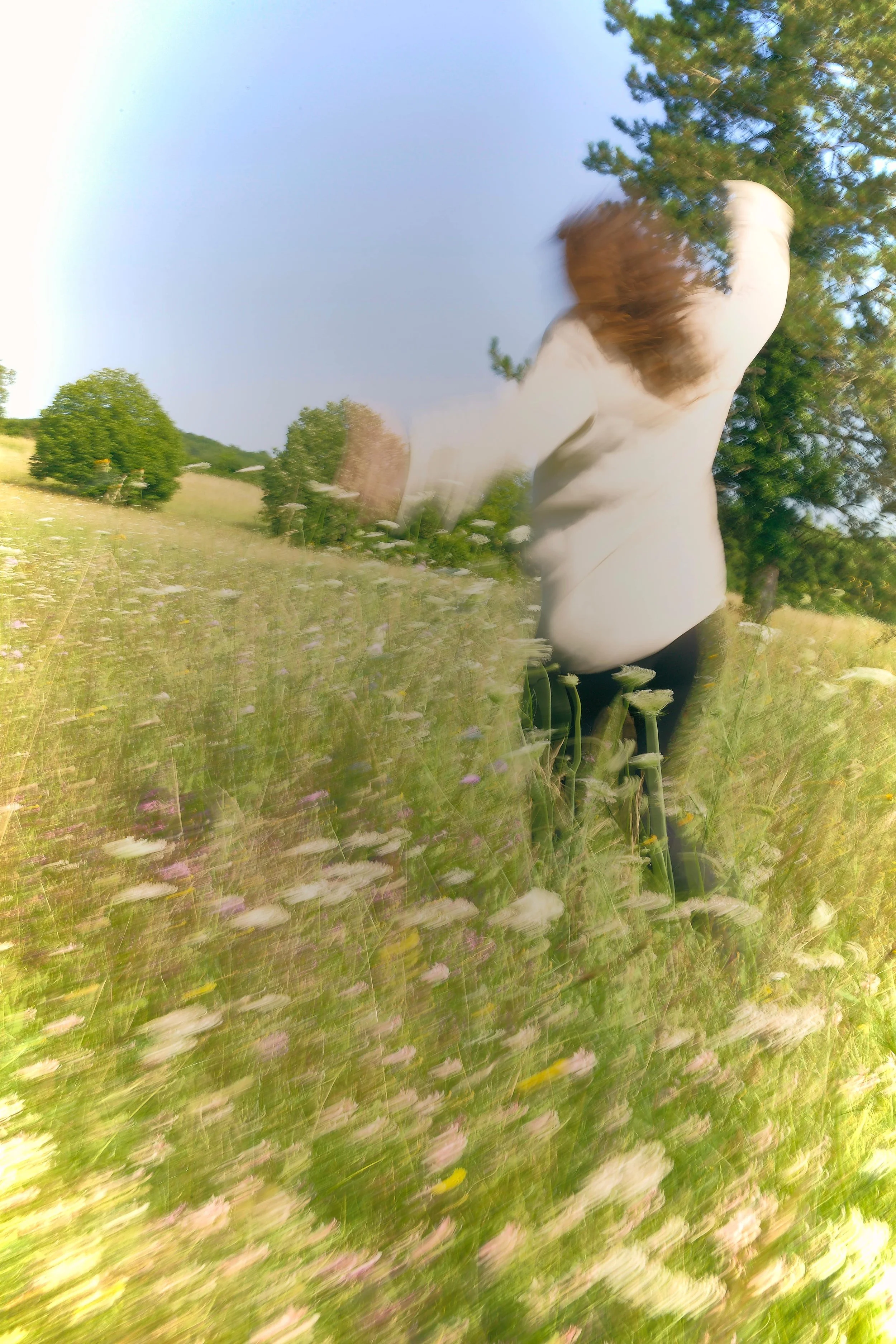 _N7A3901 lena field-smaller.jpg