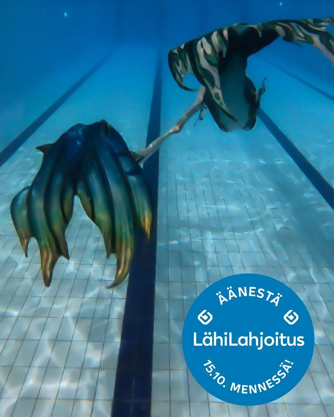 Auta meit&auml; tuomaan merenneitouinnin taikaa lasten ja nuorten arkeen! 💙

Suomen Merenneitoharrastajat ry on mukana L&auml;hiTapiolan L&auml;hiLahjoitus-&auml;&auml;nestyksess&auml;, jossa jaetaan 200 000 &euro; lasten ja nuorten harrastamisen ja