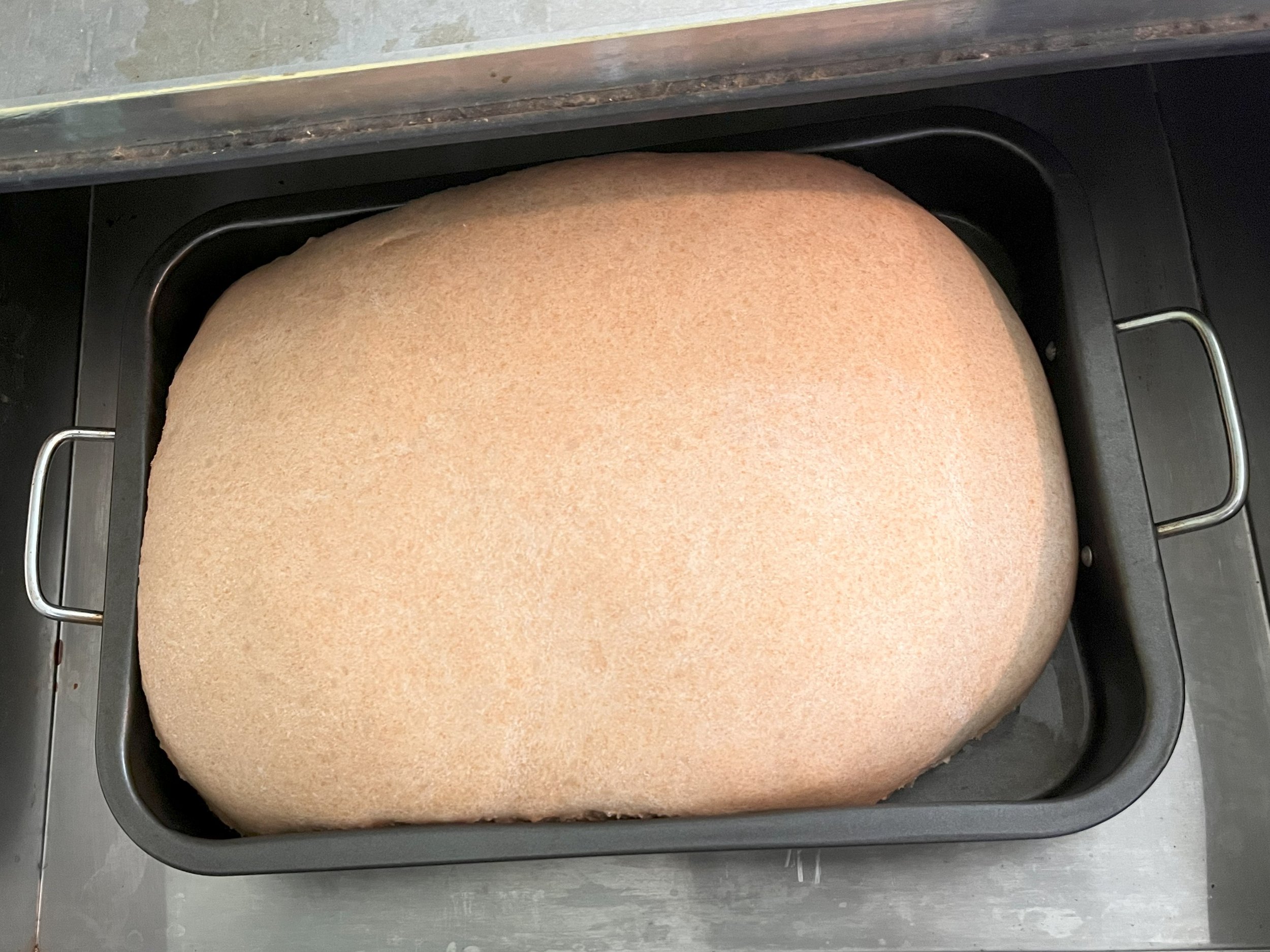 proofingwheatdough.jpg