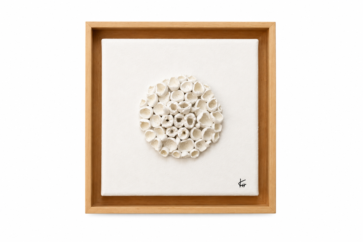 Aphrodite's_Shells_.png