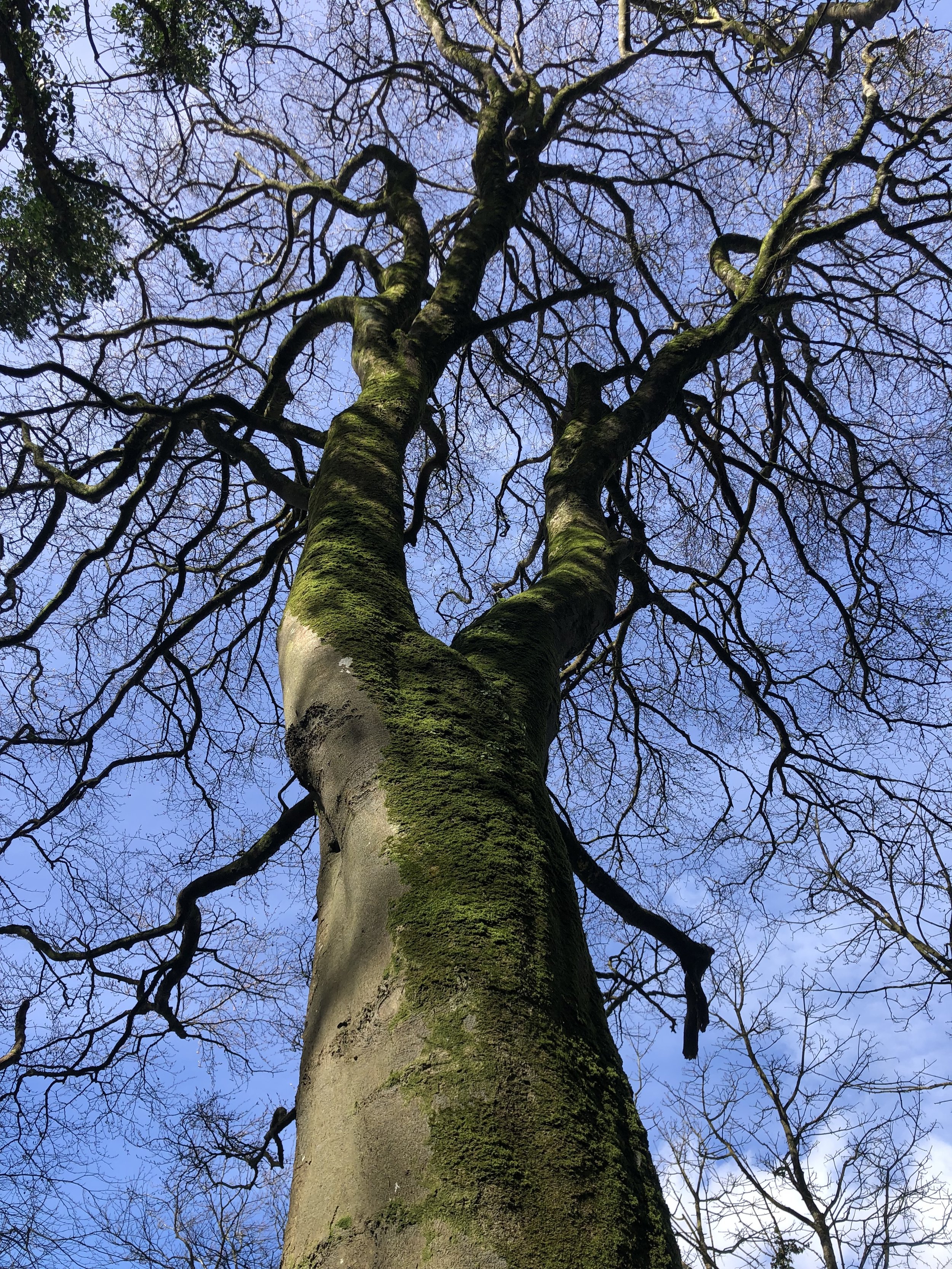 3 / reach out to us to produce your work!