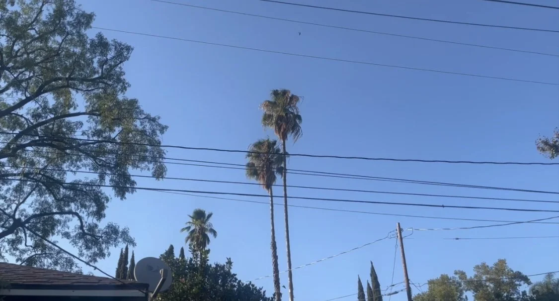 video : Hybrid Cities Zoom Calls