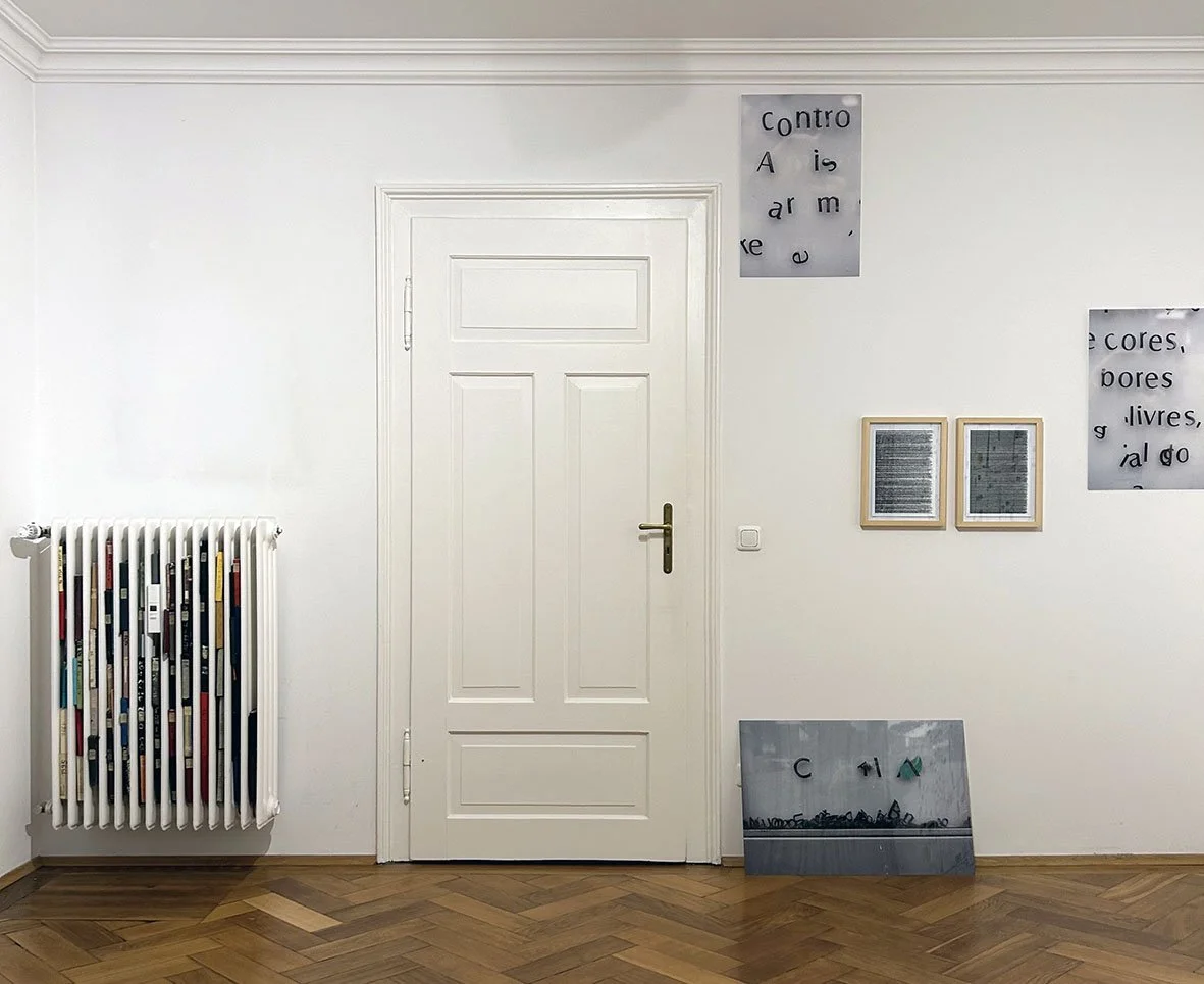 Web_Albert Coers_Installation View.jpg