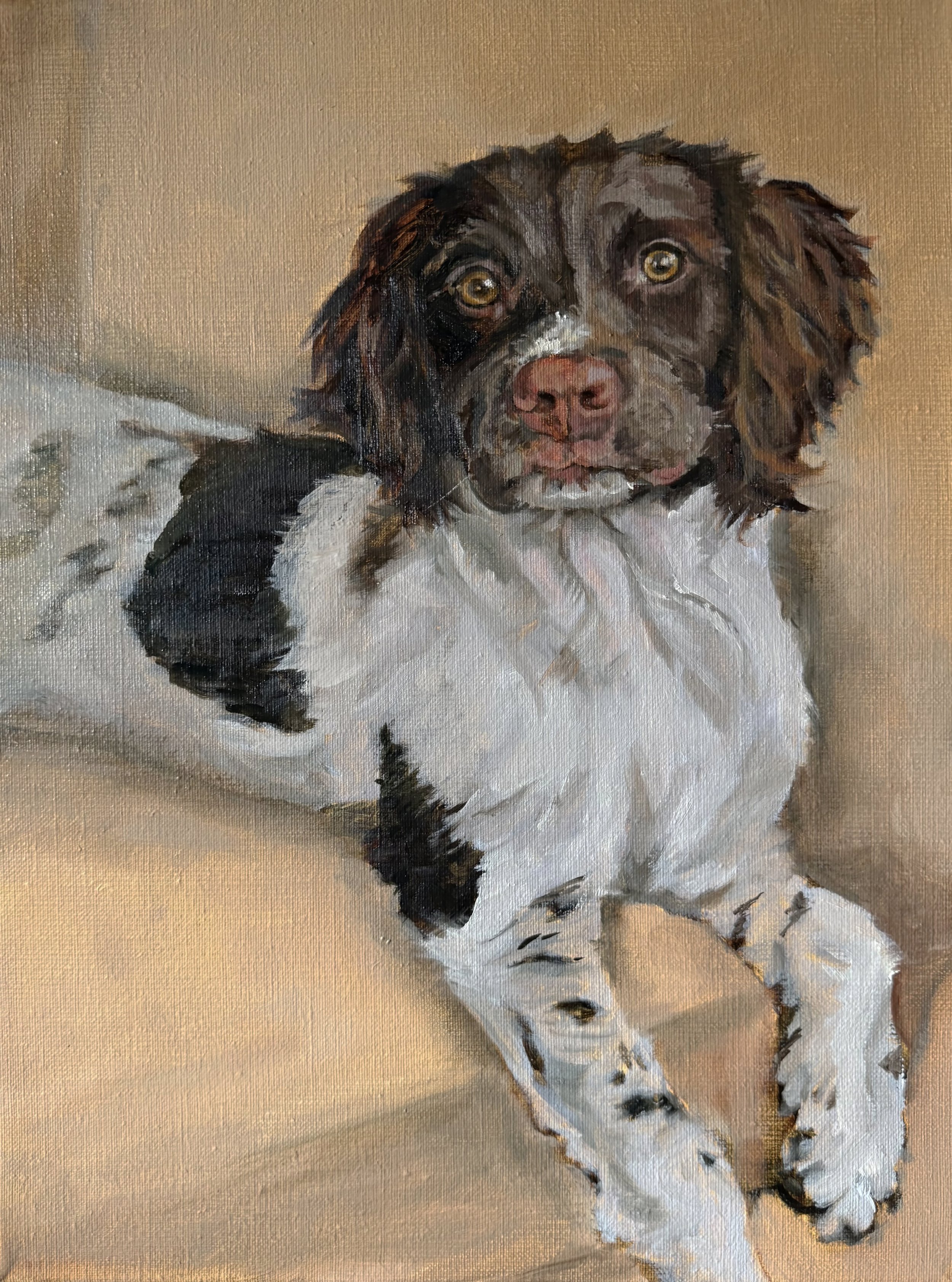 Willow, 12" x 16", Oil painting