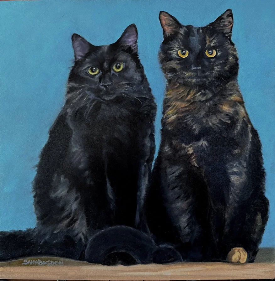 FINALCATS.jpg