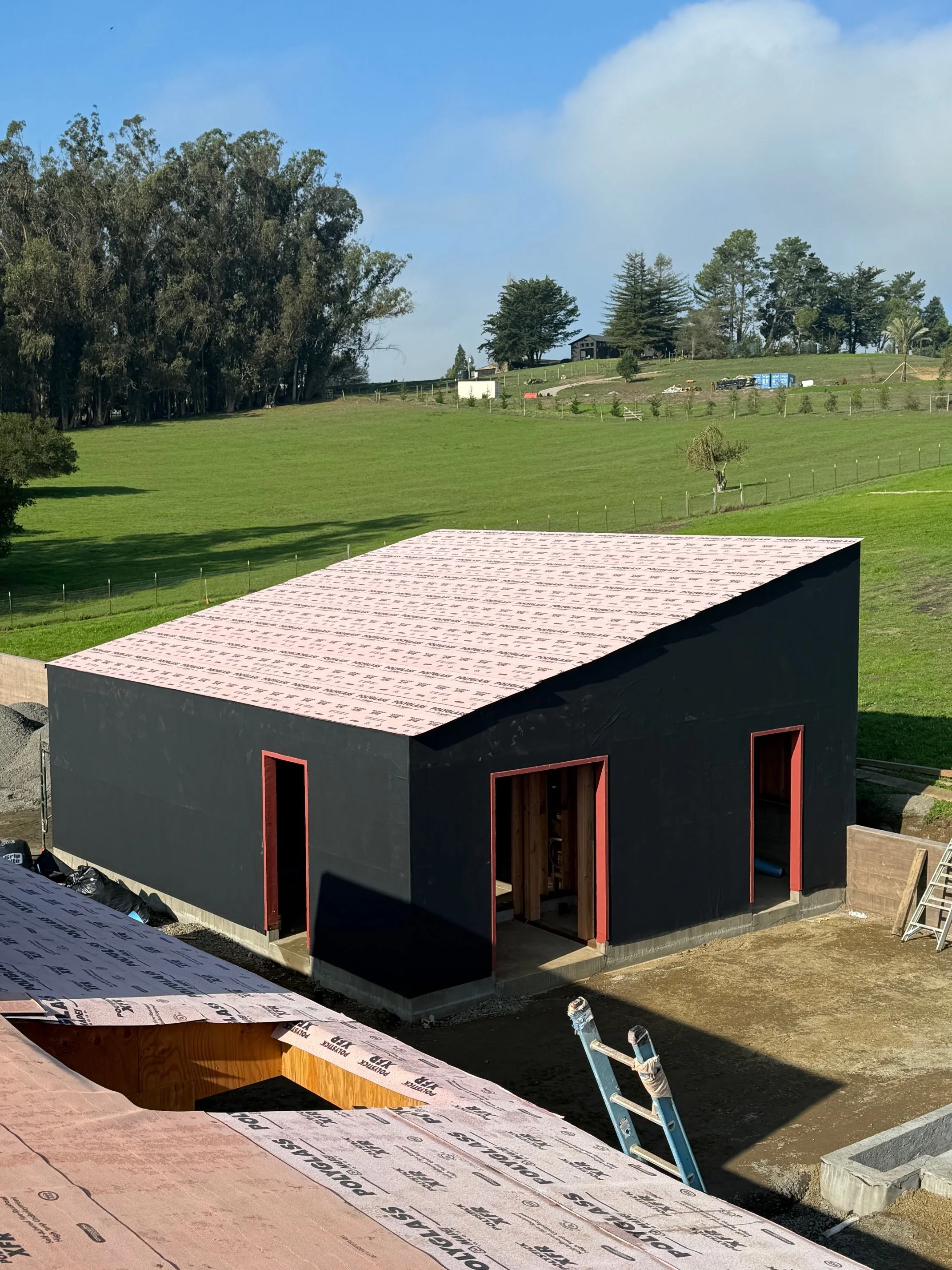 IMG_1570.jpeg