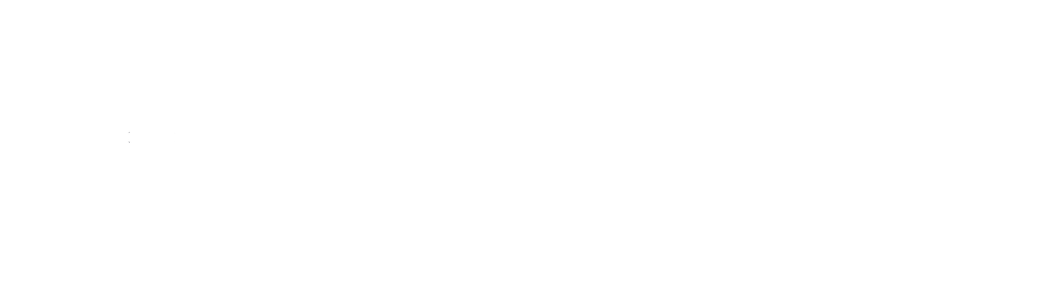 Temperance | Pizza Food Truck South Shore, MA