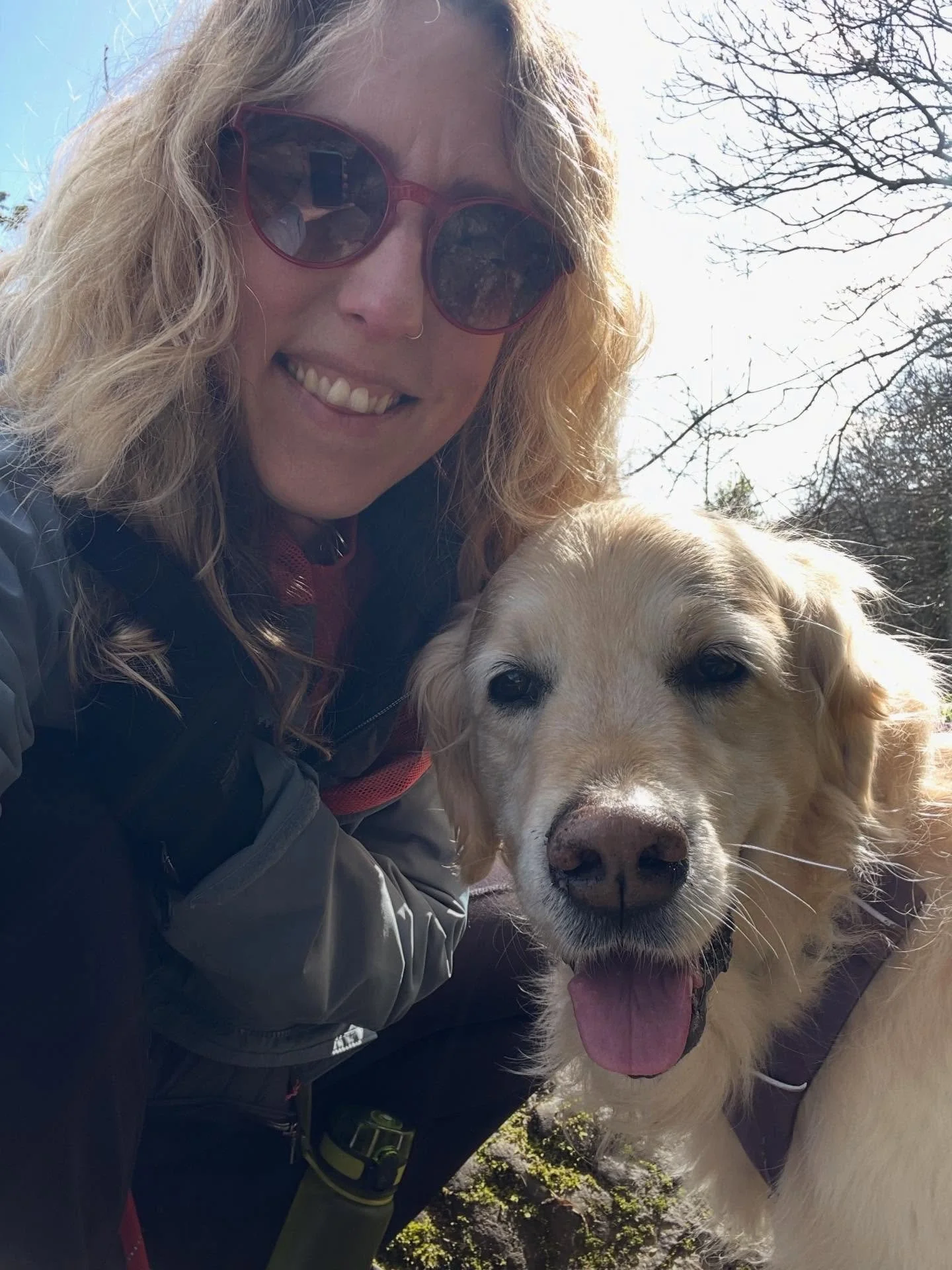 ✨Happy sunny Saturday from me and golden girl Molly ✨