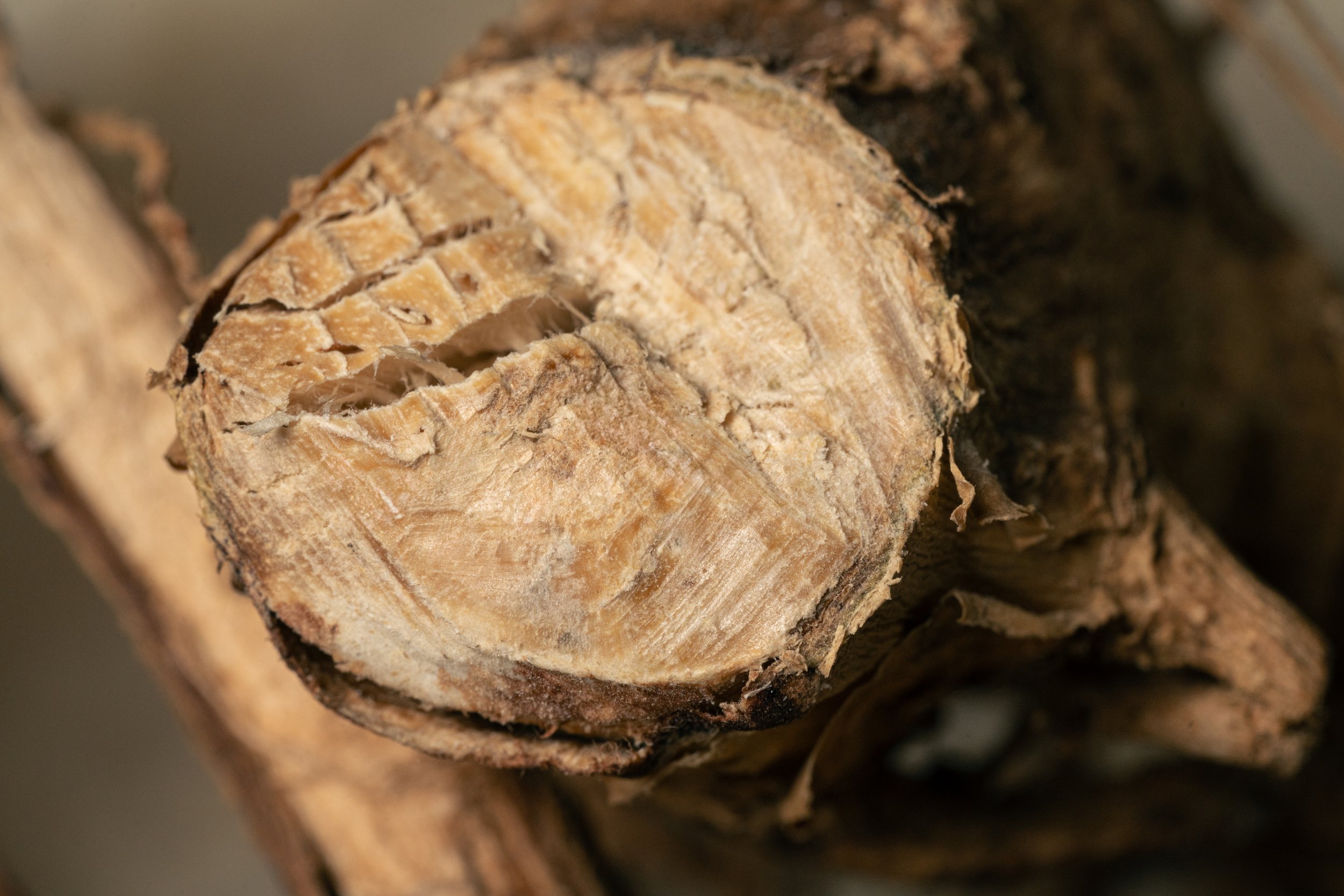 14 Sarla Agro_Studio Shoot_20240204_A7IV-5487-Edit.jpg