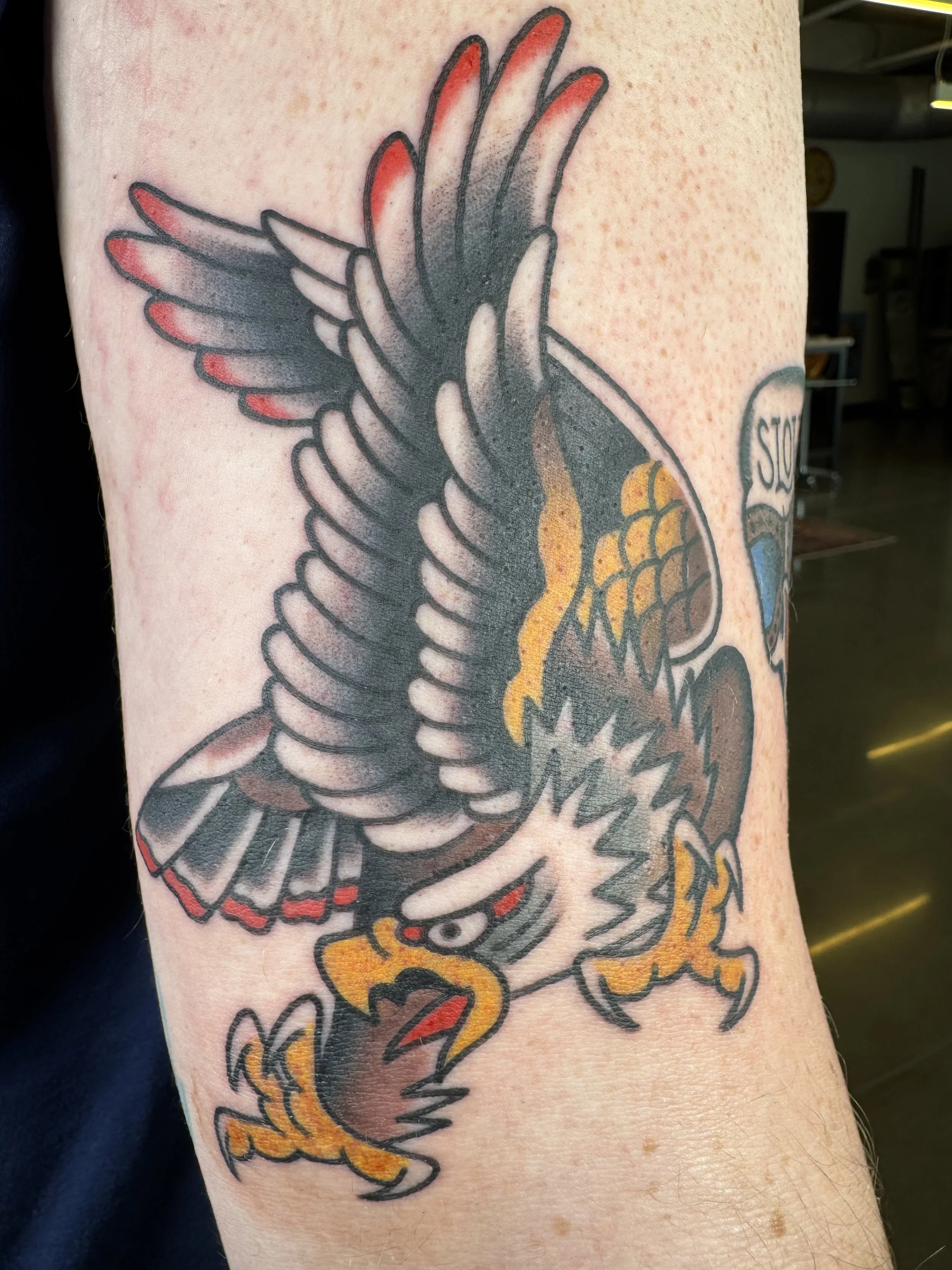 A colorful tattoo of a phoenix on a person's arm, featuring detailed wings, a fiery tail, and the text 'STOP' in a speech bubble.