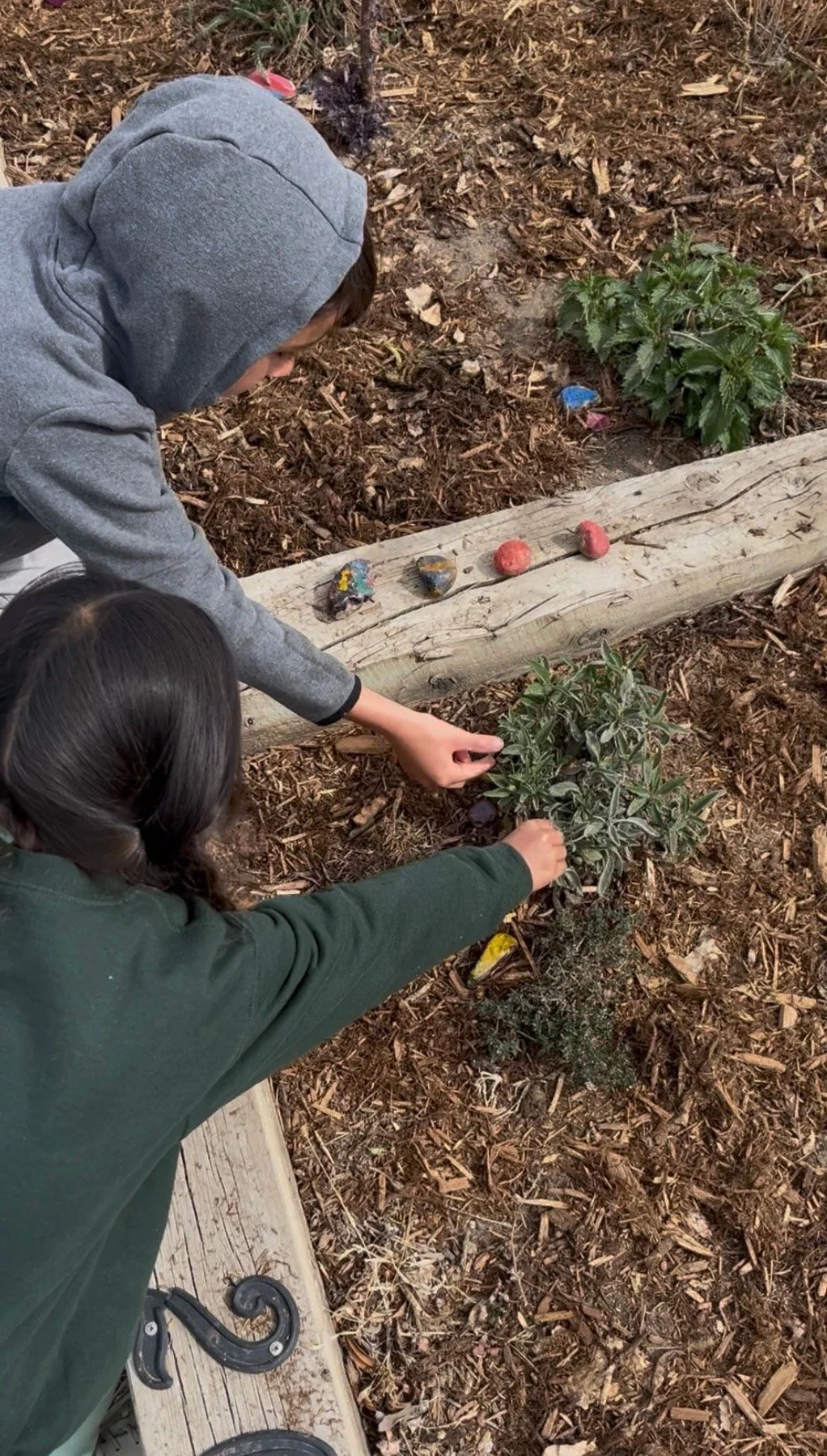 Two children decorating a garden bed with painted rocks.