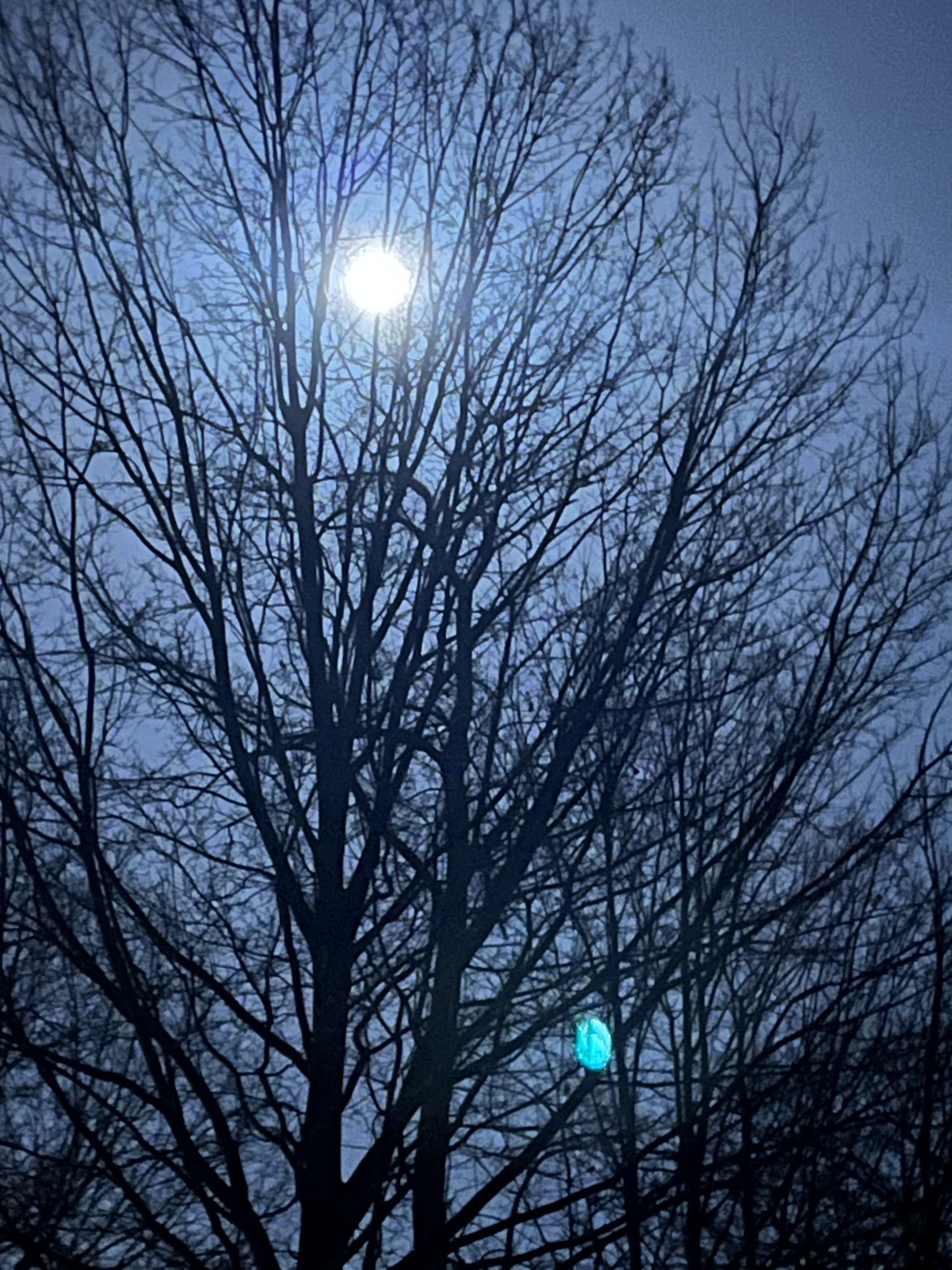IMG_5153.jpeg