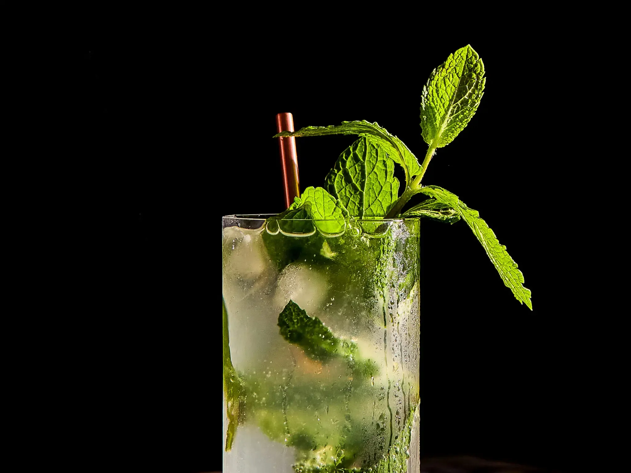 National Mojito Day
