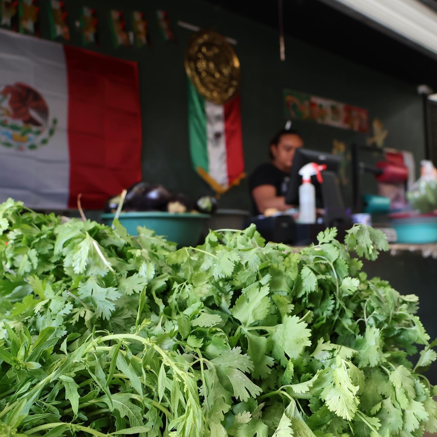 Sabores que nacen aqu&iacute;, orgullo que compartimos🇲🇽🧄🌶️

Nos encanta trabajar con productores locales para llevarte ingredientes siempre FRESCOS. Ofrecemos un sabor aut&eacute;ntico y la calidad de siempre, impulsando la econom&iacute;a de nu