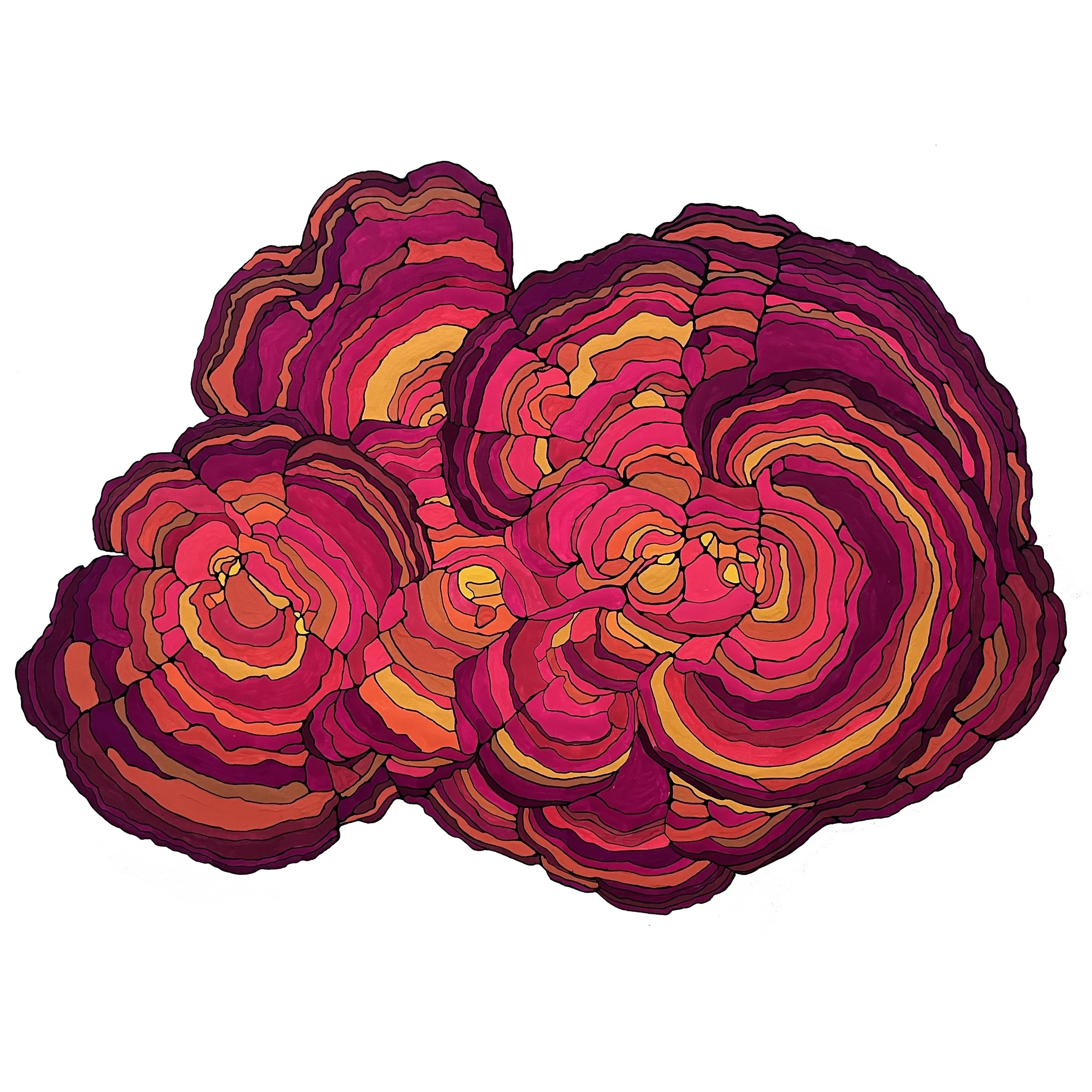 Katy B David Image 3 - Kate Bradshaw David.JPEG