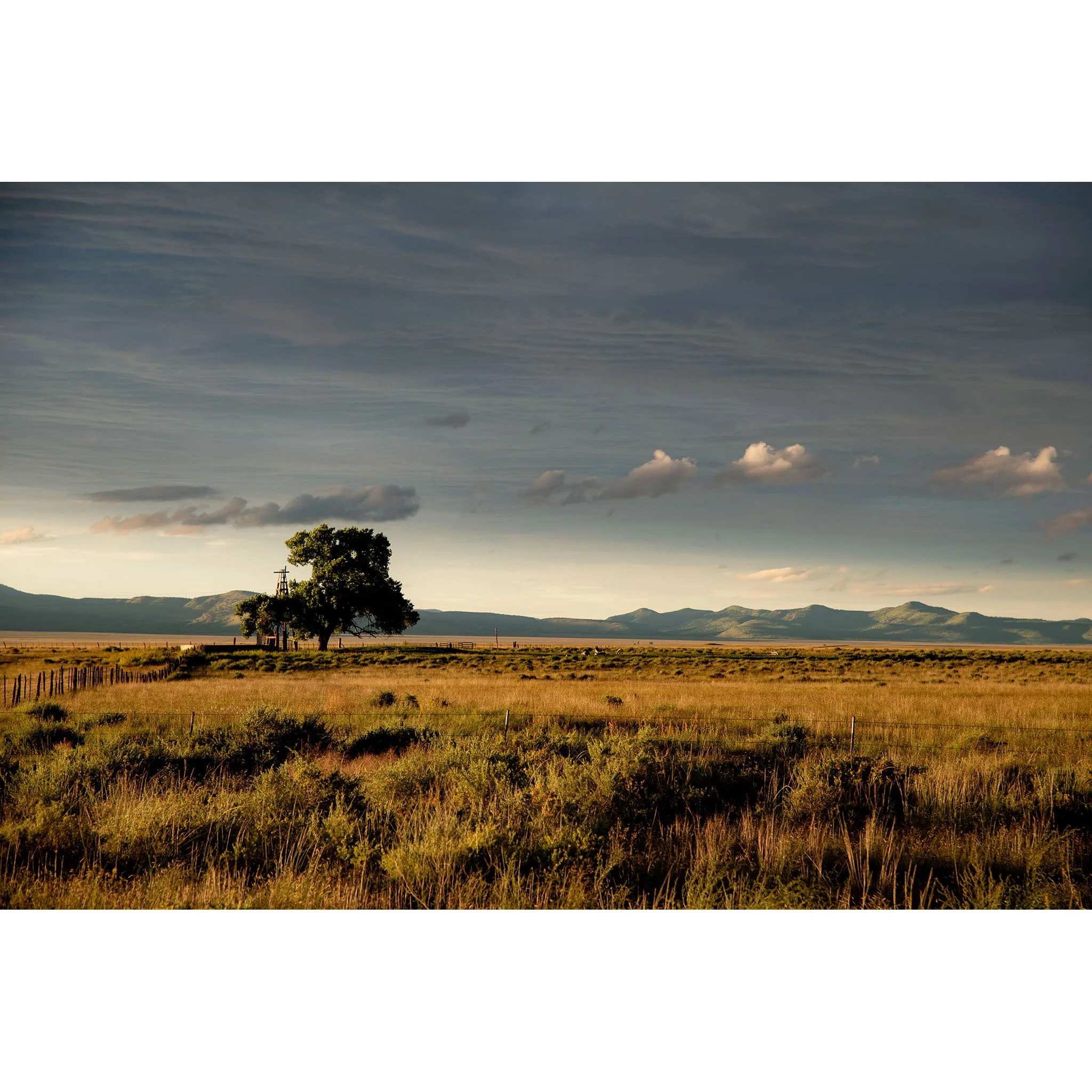 stephen_pruitt_image2 - Stephen Pruitt.jpg