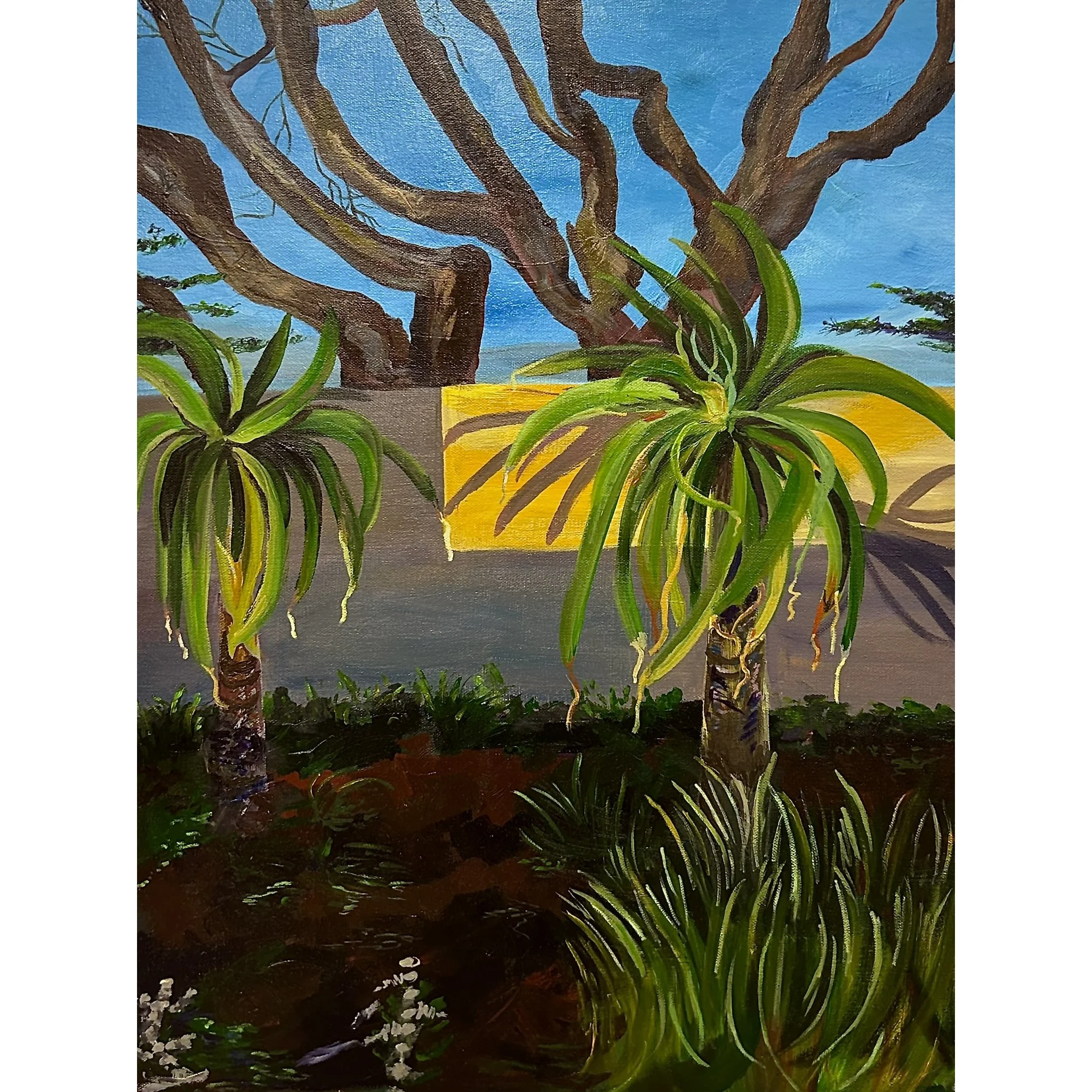 EmilyWard_Image1 - Emily Ward.JPEG