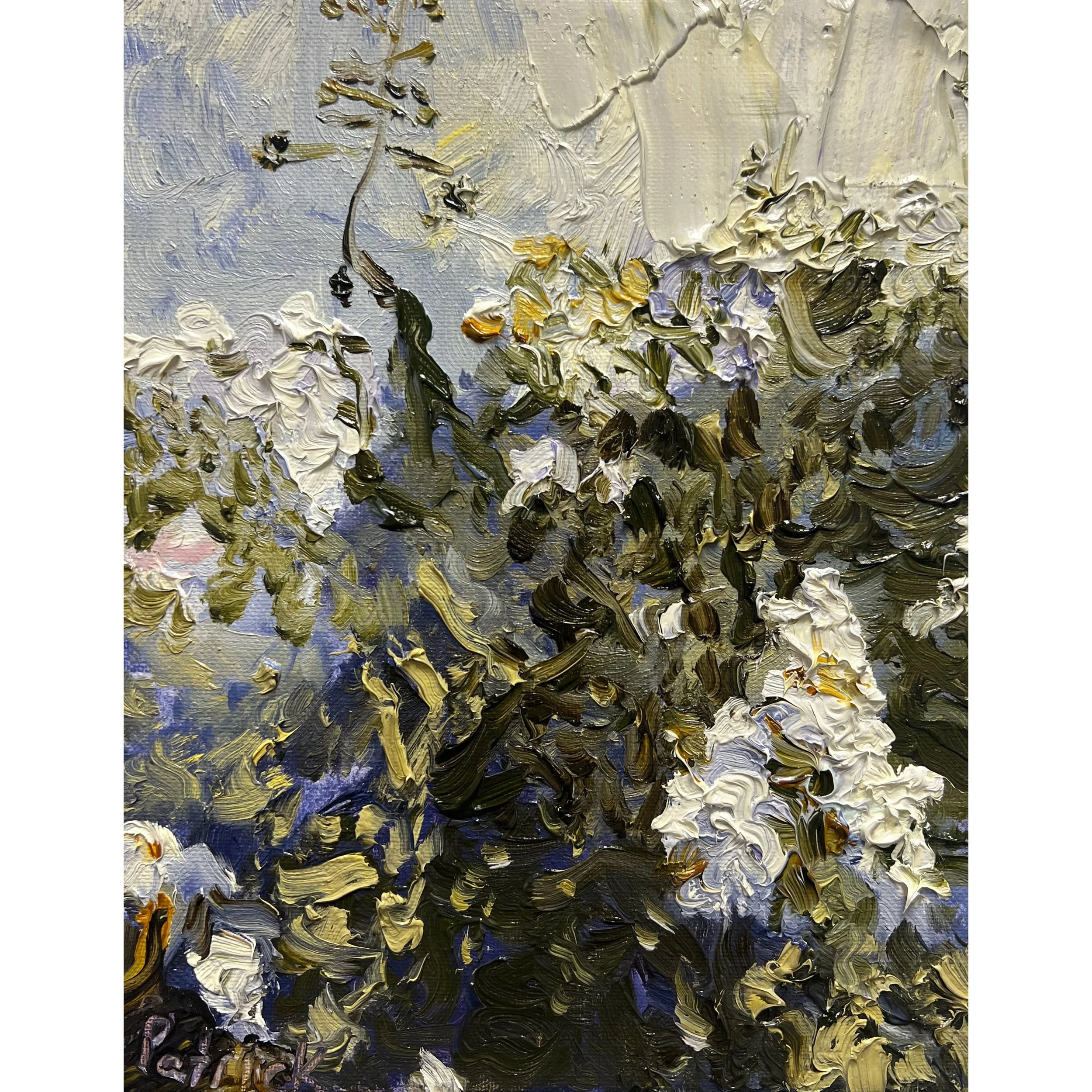 Flowers - Patrick Boppel.jpeg