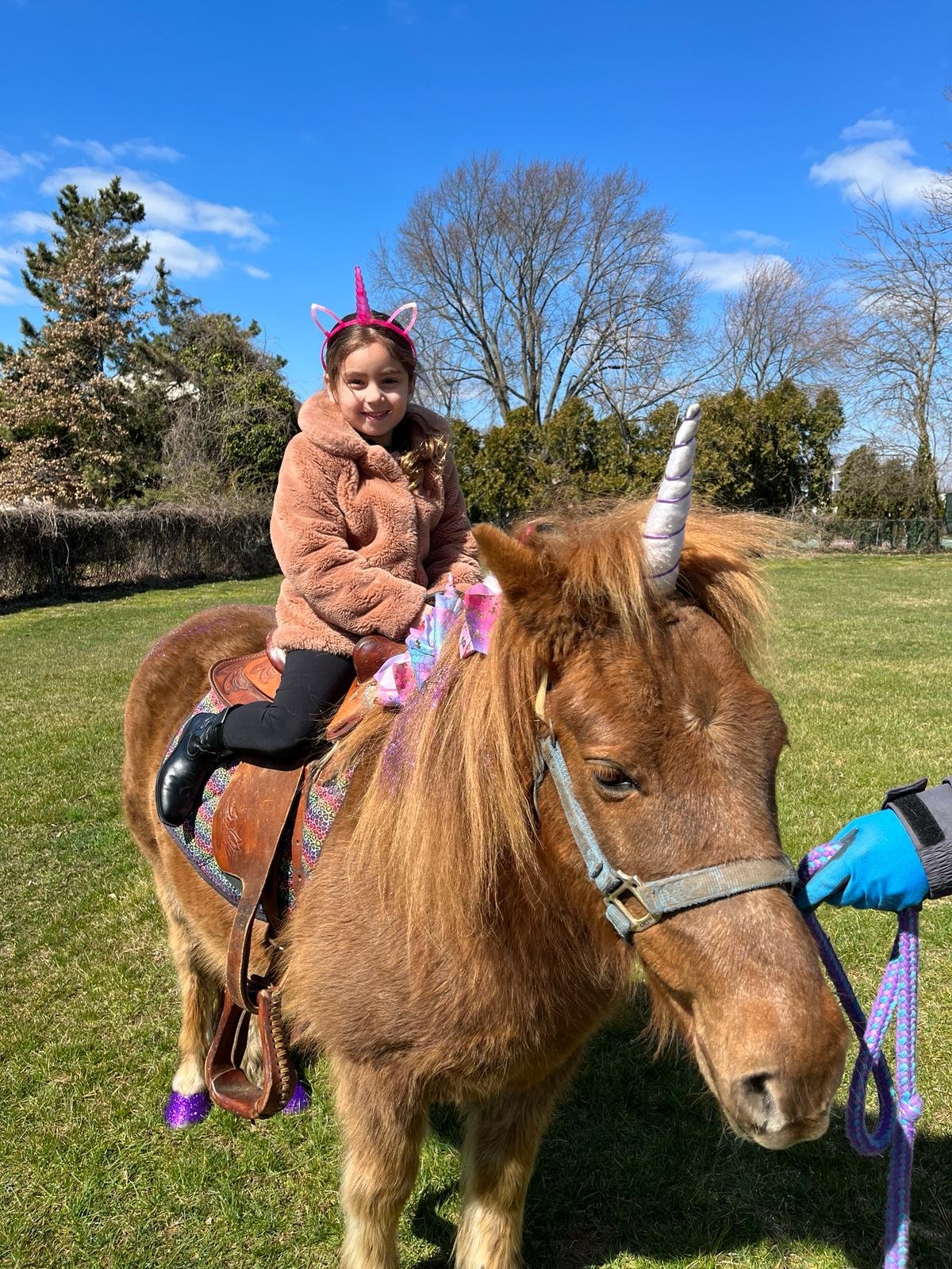 Pony Rides