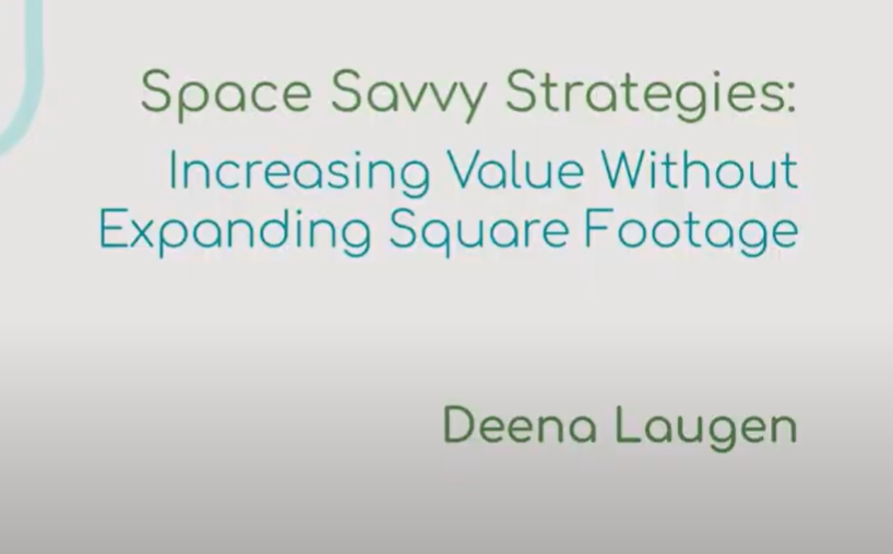 space savvy strategies .png