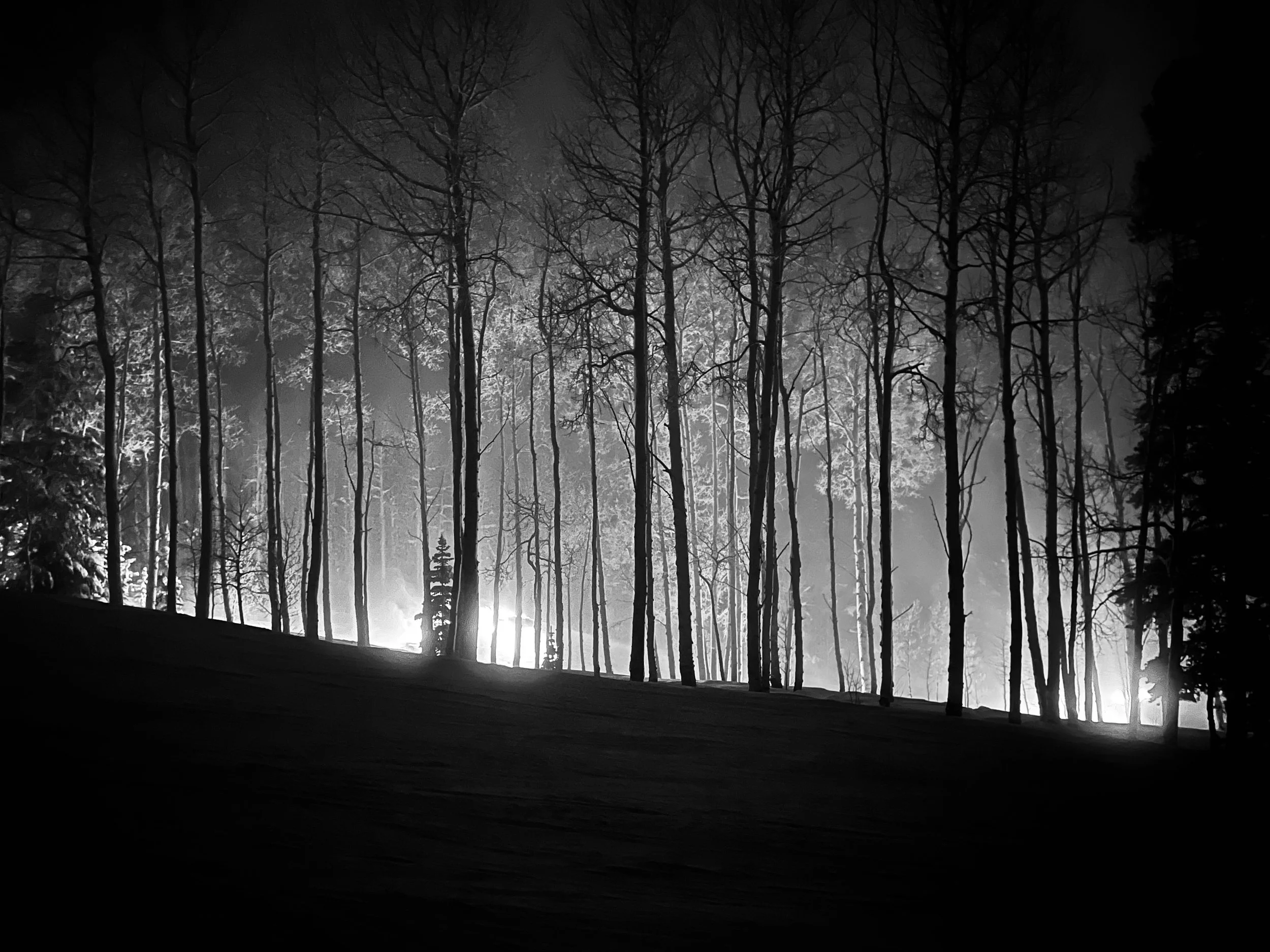 Who, What, Why, Where, When…How?