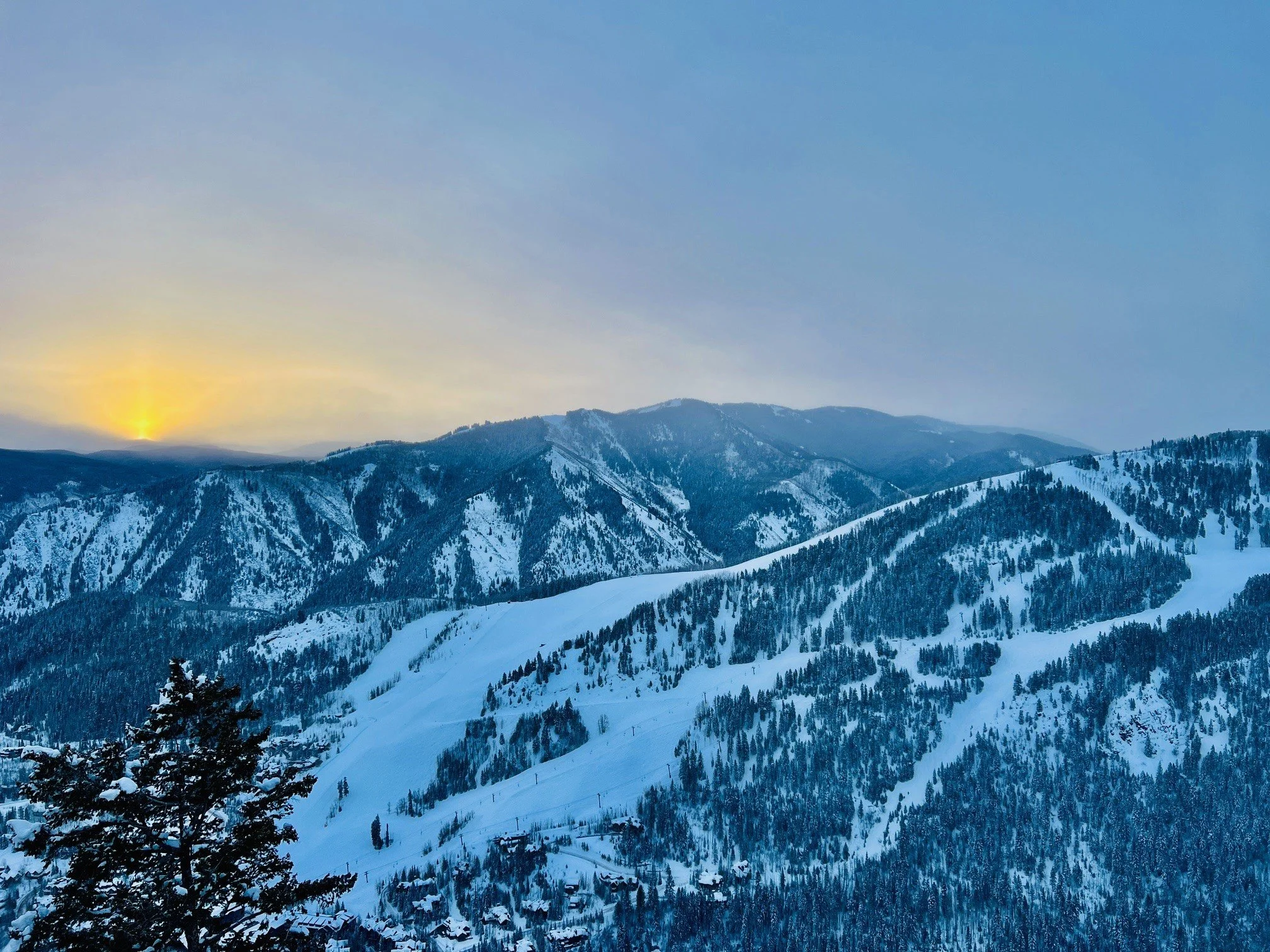 April 2024 ERNEMANN REPORT 