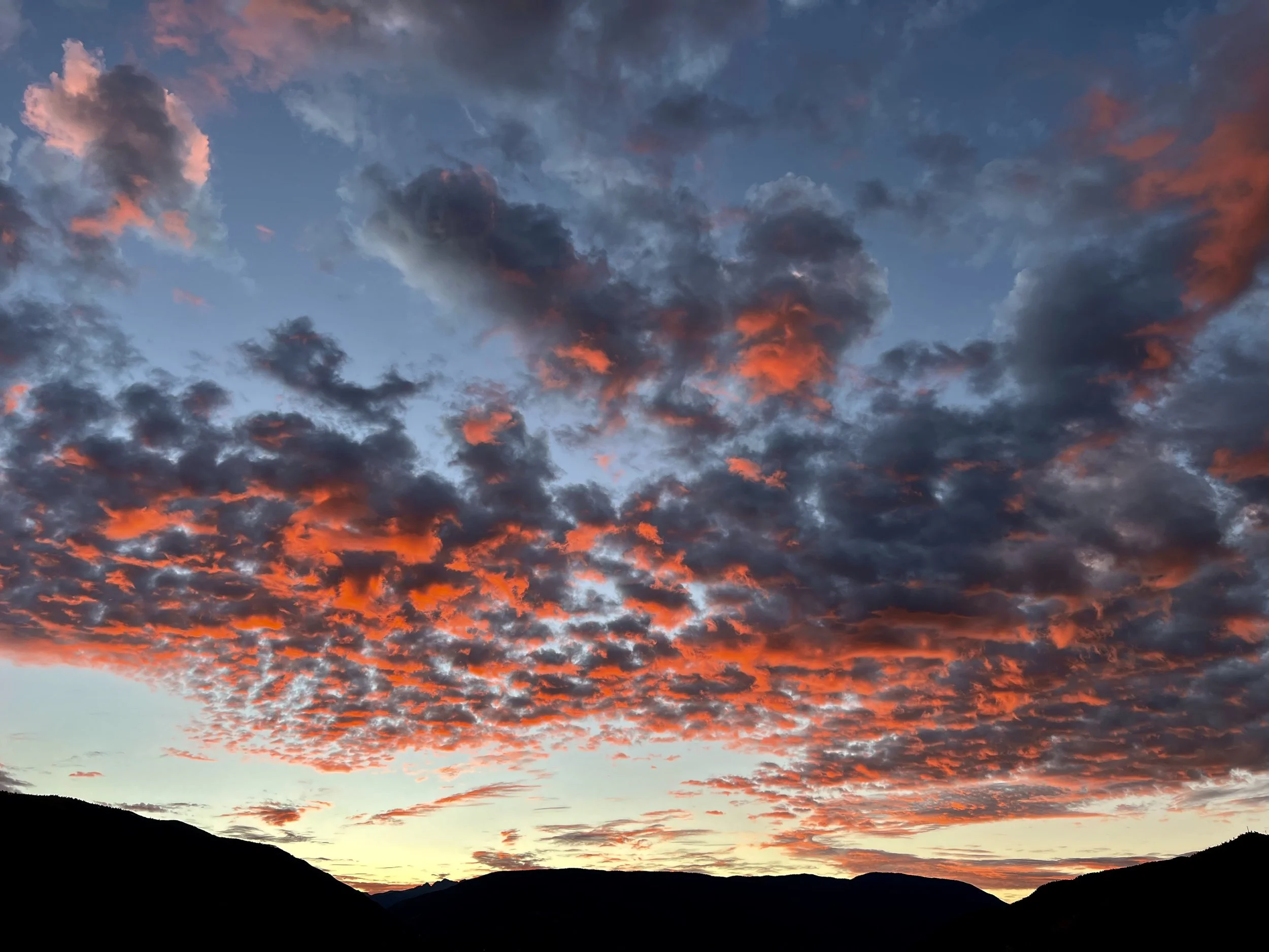 Mid-Year 2024 ERNEMANN REPORT