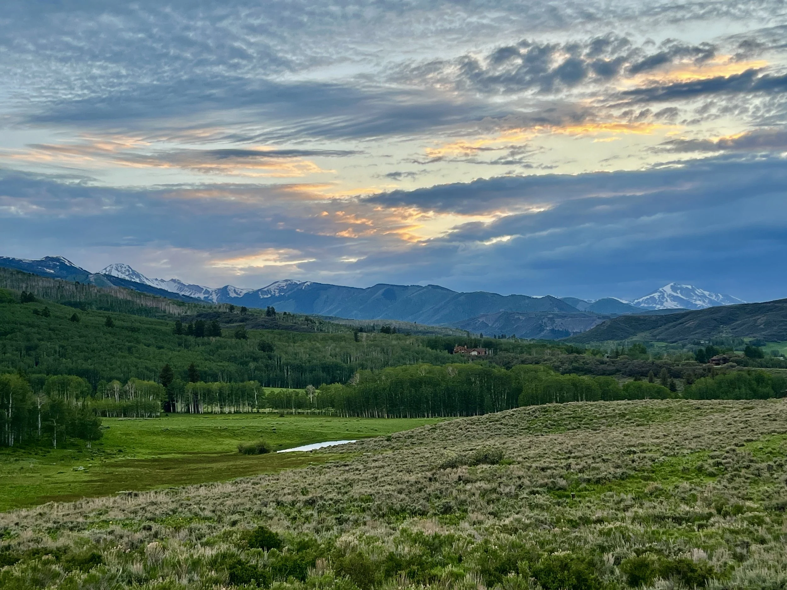 Aspen Snowmass Real Estate 2025 Midyear Review