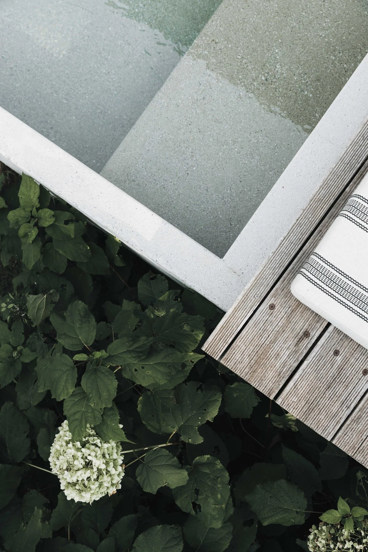 Isabel_Wallace_Photography_tantan_concretedesign_Salzburg_02_web.jpg
