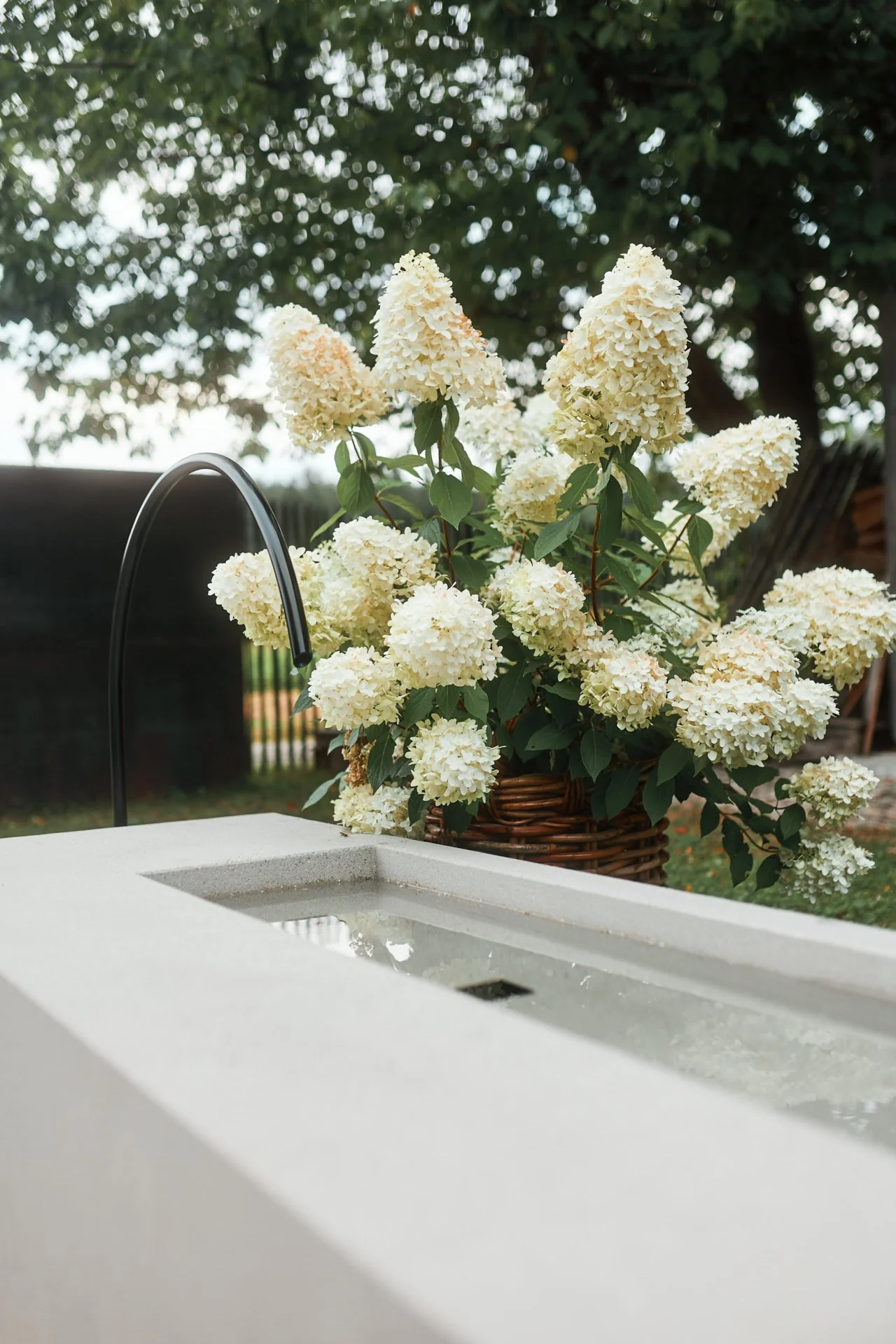 Isabel_Wallace_Photography_tantan_concretedesign_Amerang_09_web.jpg