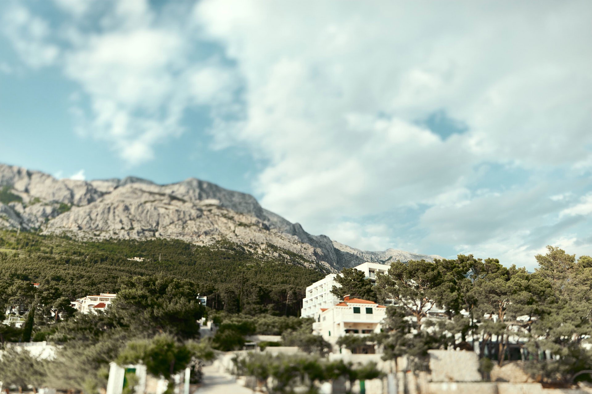 Isabel_Wallace_Photography_Laganini_AnjaMarinkovic_YogaRetreat_37_web.jpg