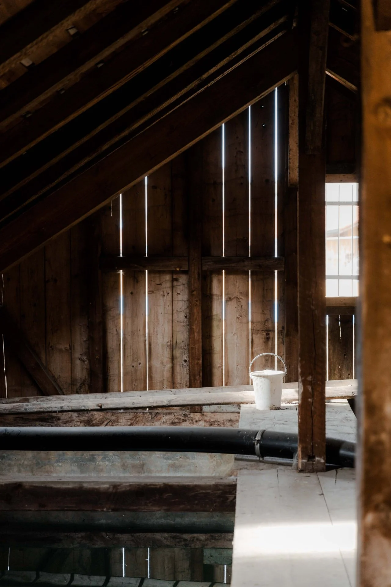 Isabel_Wallace_Photography_Cilander_67_web.jpg