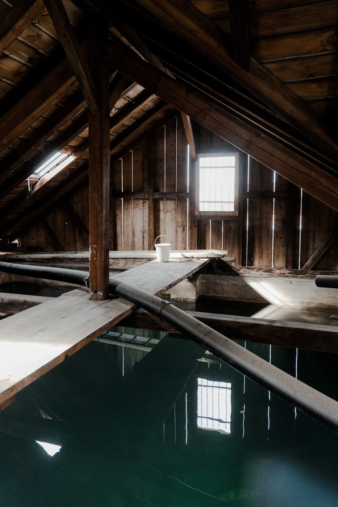 Isabel_Wallace_Photography_Cilander_66_web.jpg