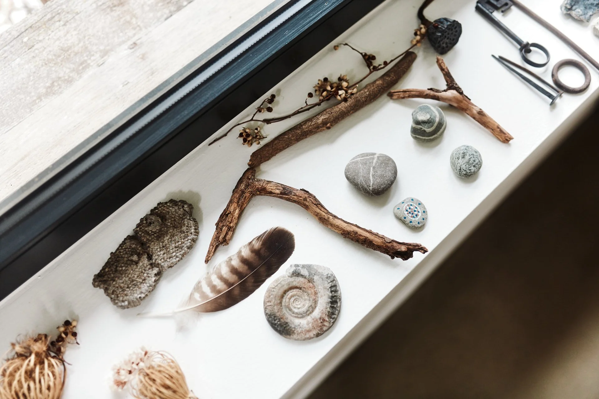 Isabel_Wallace_Photography_tantan_concretedesign_Amerang_46_web.jpg