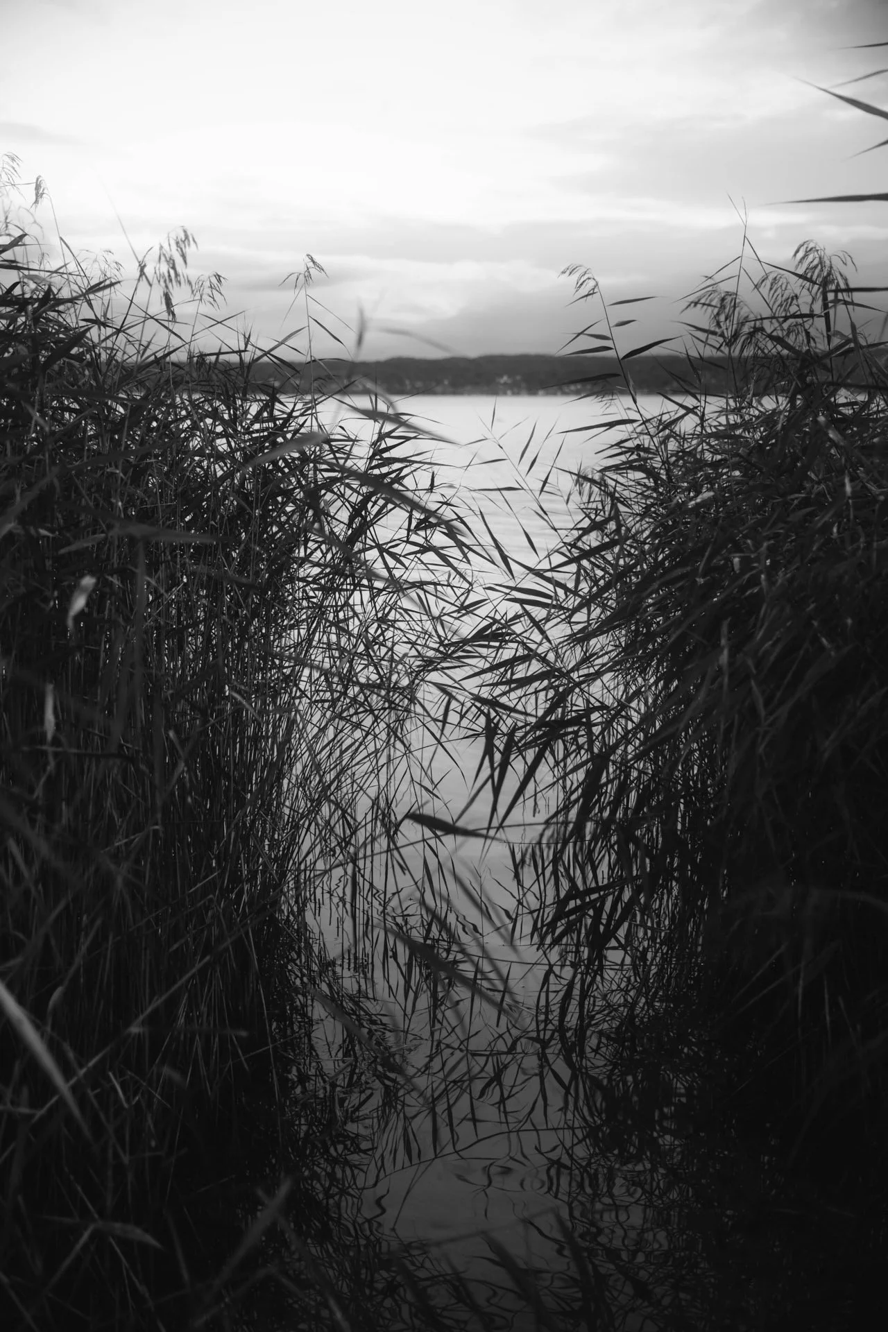 Isabel_Wallace_Photography_hejhejmats_amindfulmorning_09_web.jpg