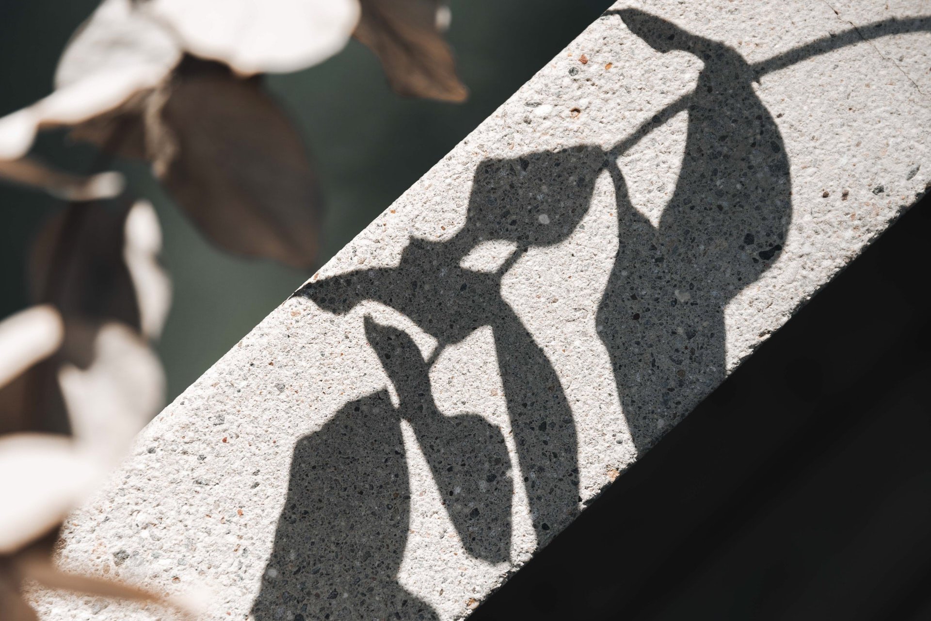 Isabel_Wallace_Photography_tantan_concretedesign_Salzburg_04_web.jpg