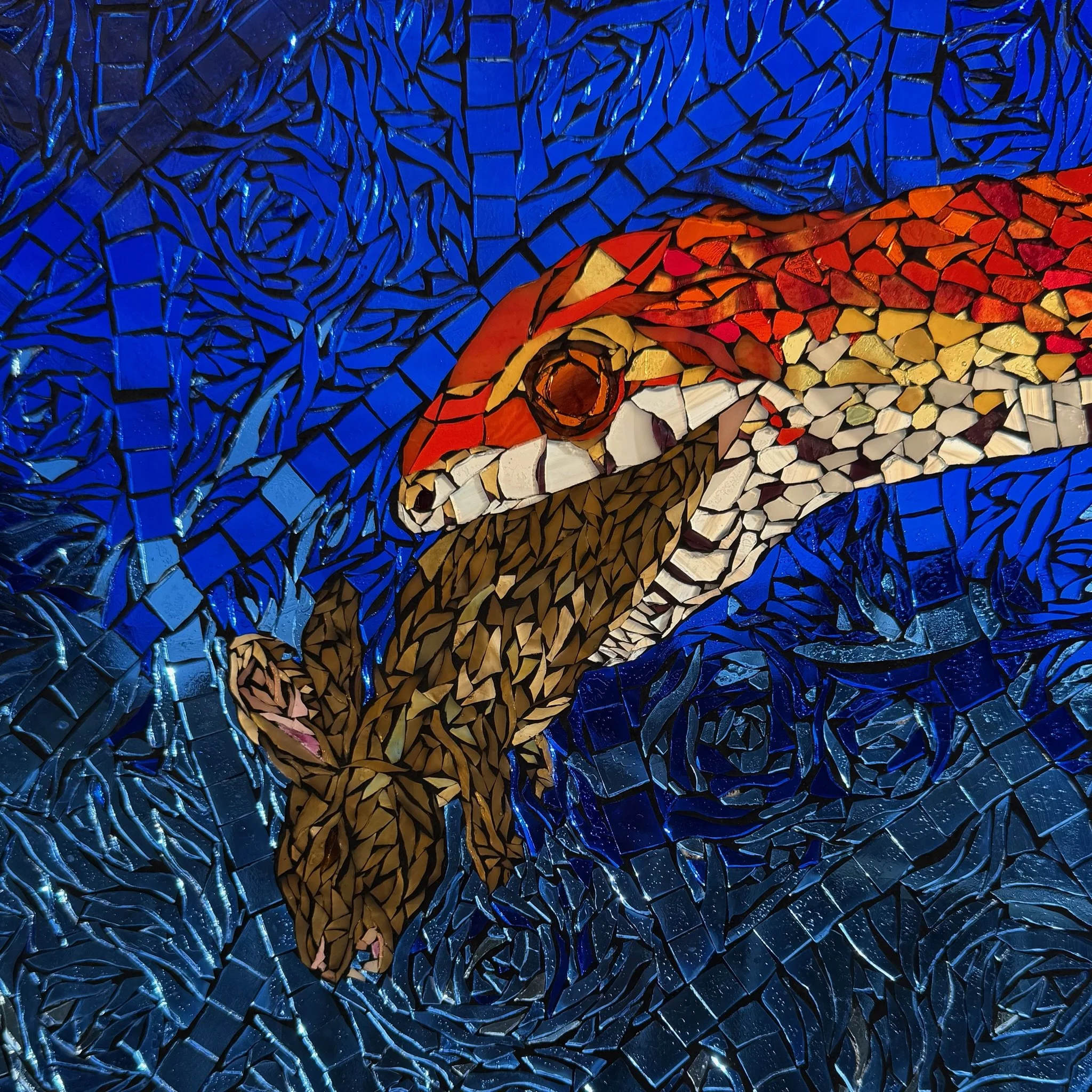 CSK |_.jpg