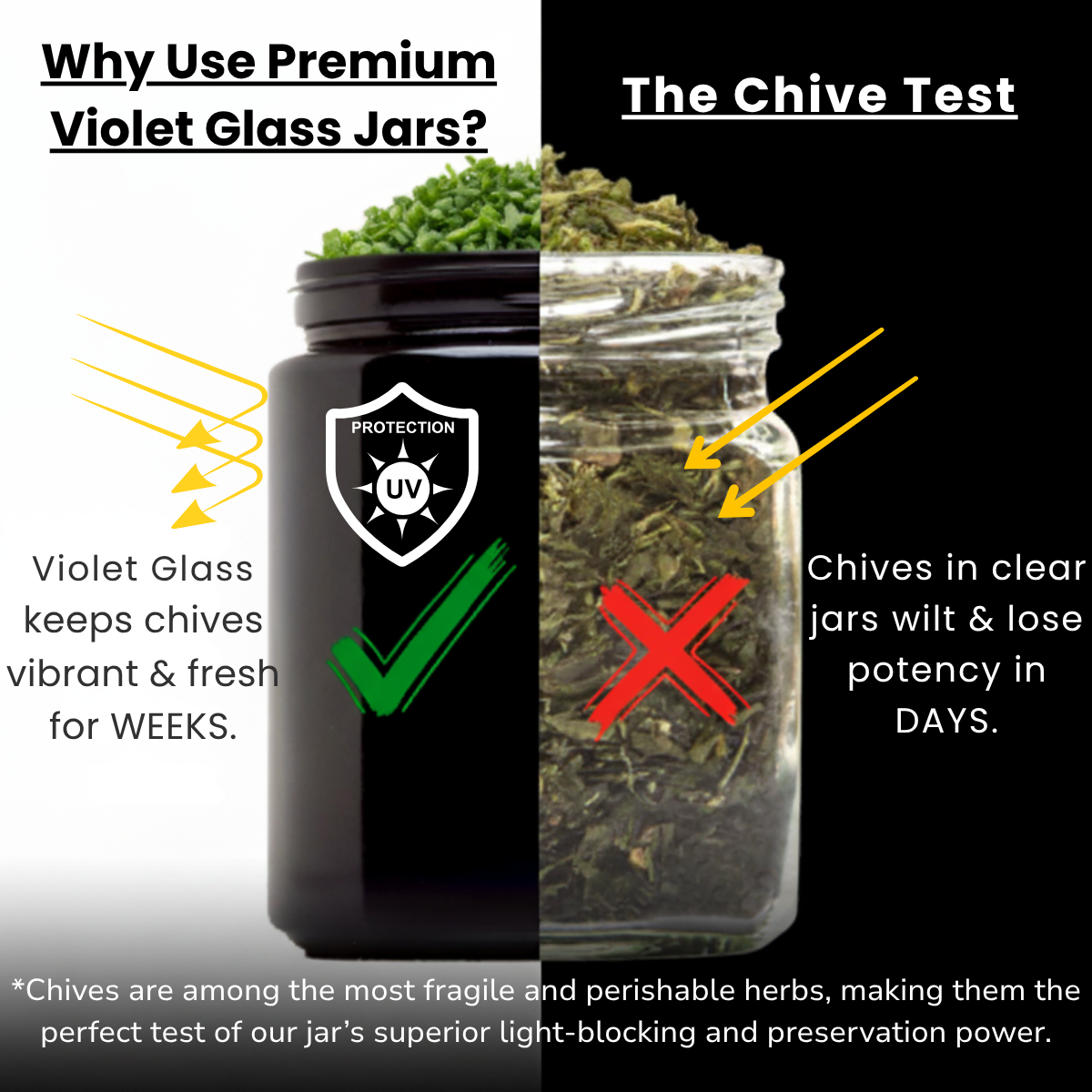 Chive Test.png