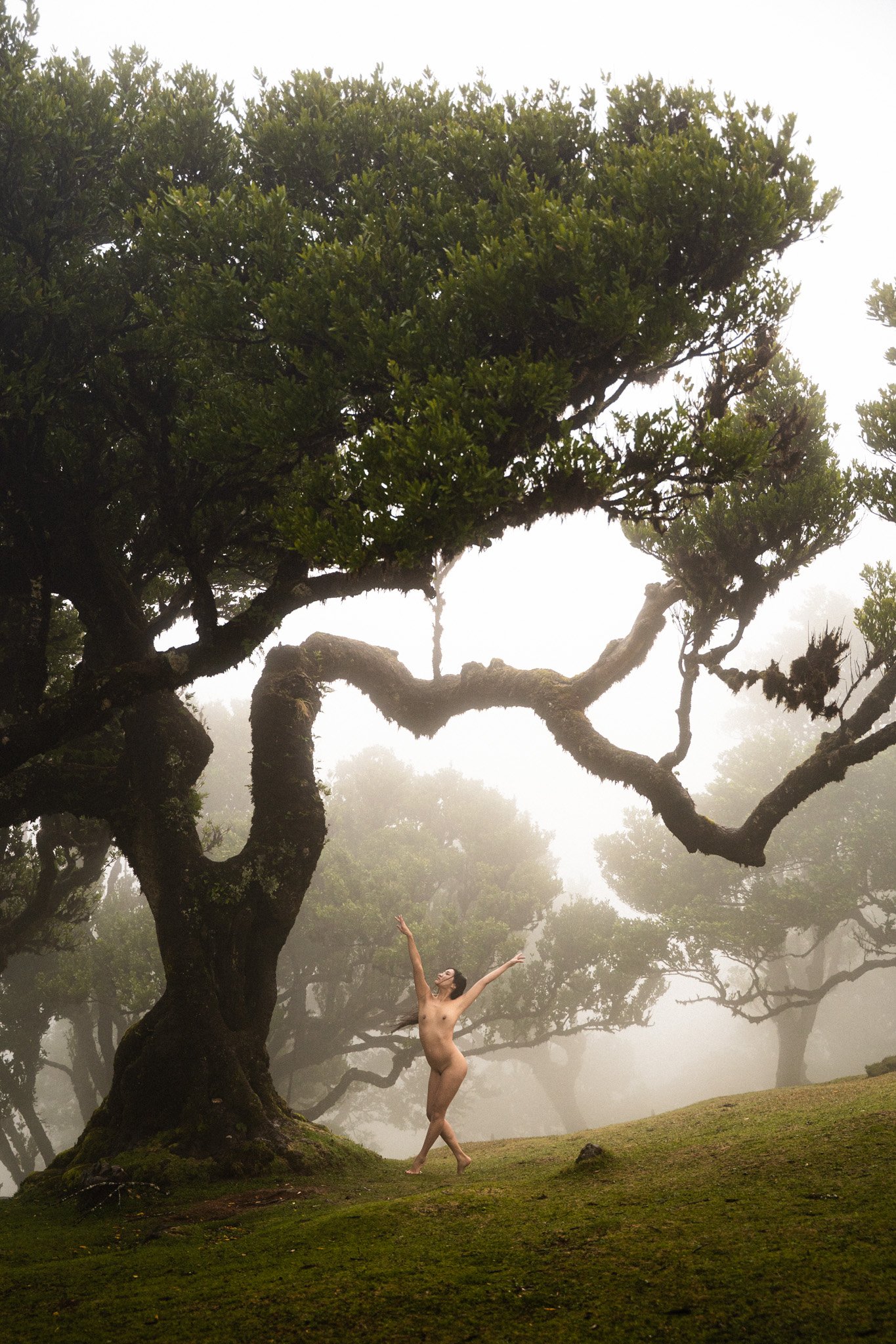 2026-Madeira-Fanal-33.jpg