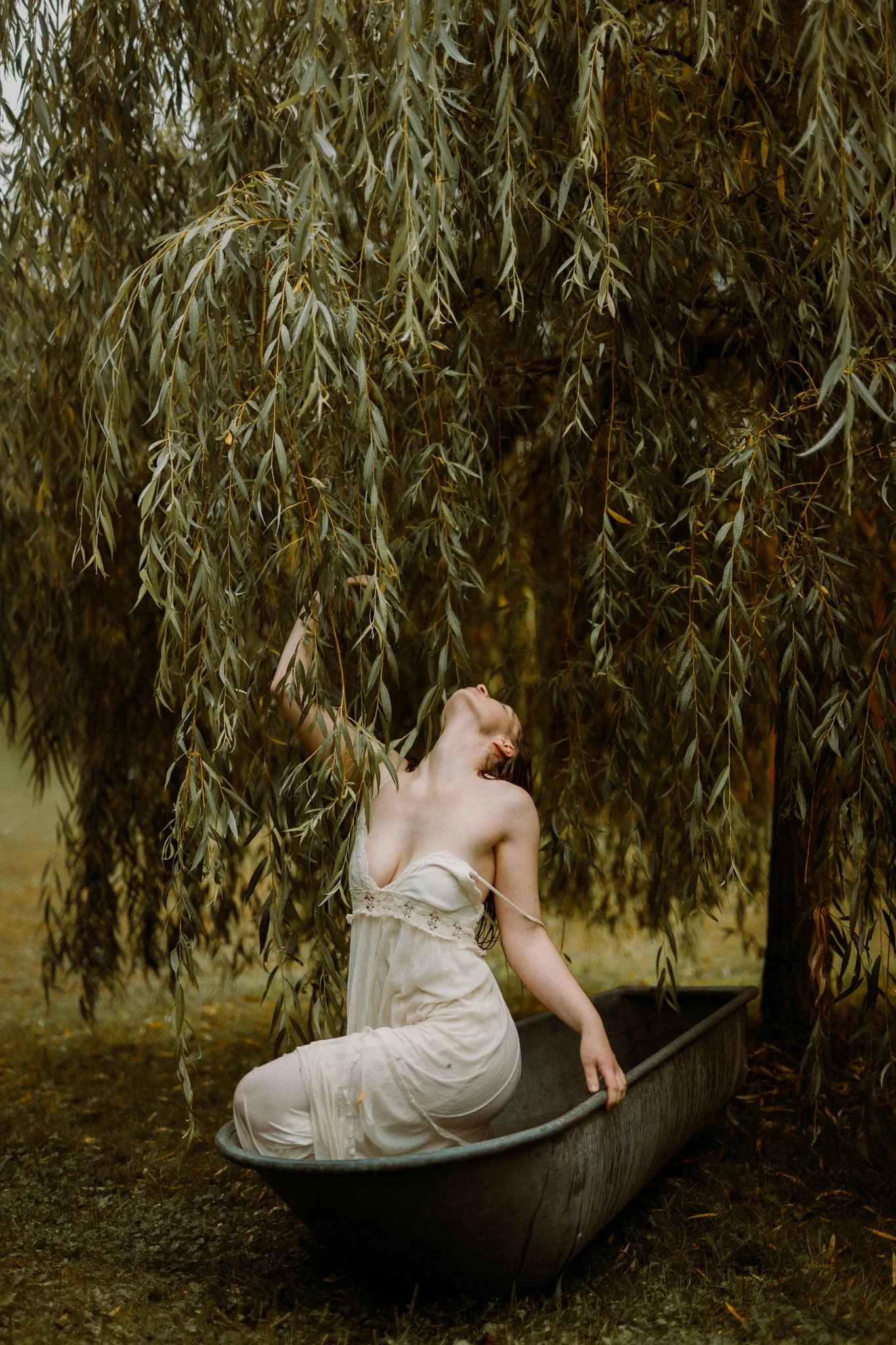 Under a Weeping Willow