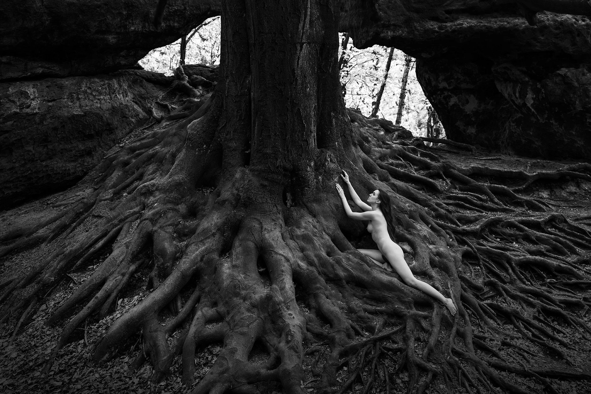  
  
 
Thomas Bichler 
   
Germany, Elbsandsteingebirge  