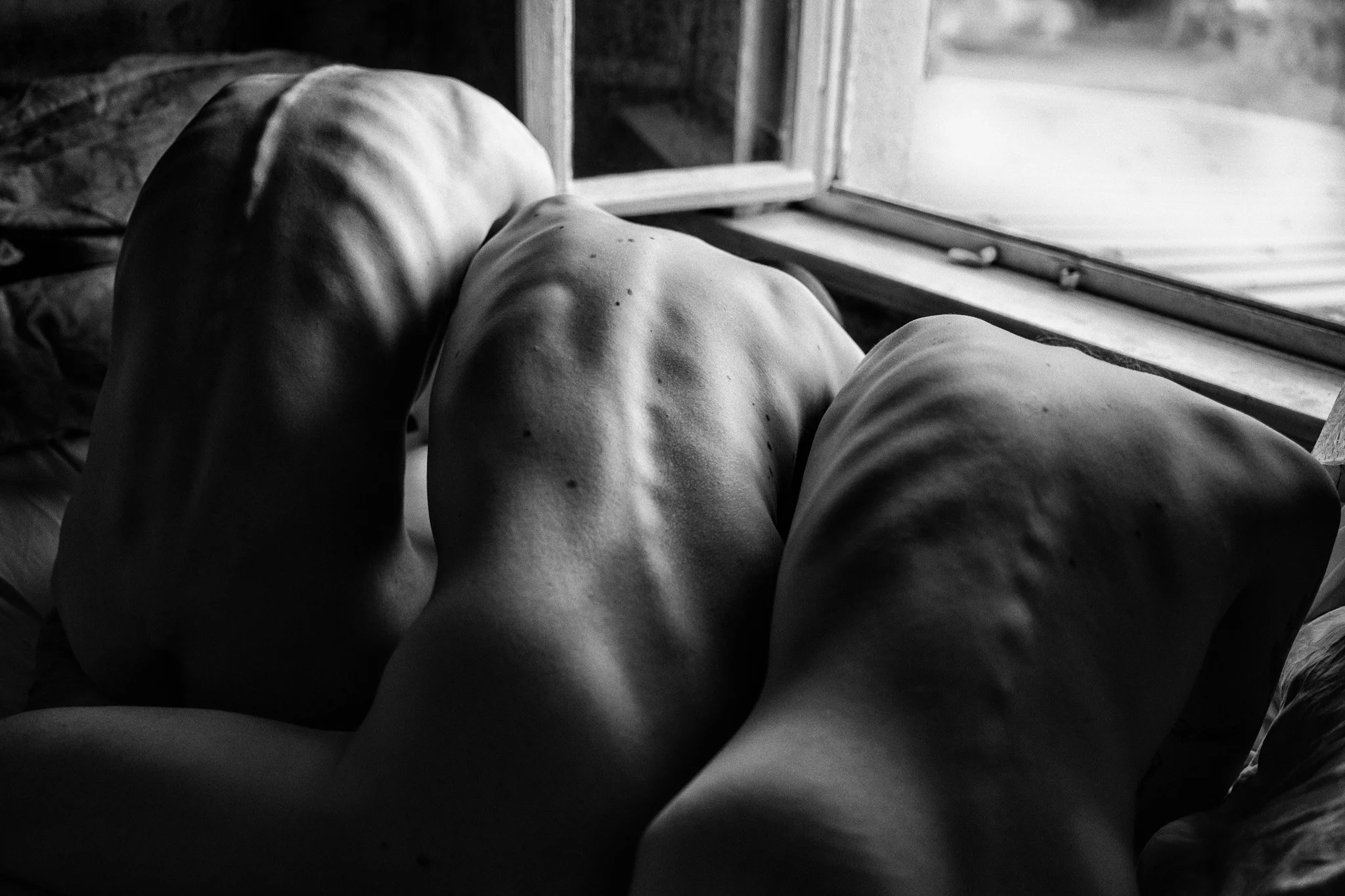  
  
 
Dirk Bee 
   
Germany,   
 
5Hausen  
     