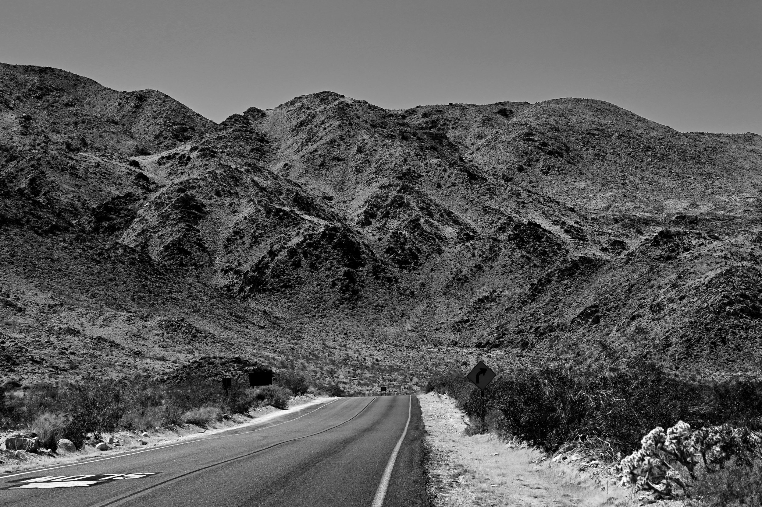 20240524_NIKON Z 50_PSP_0185_Mono.jpg