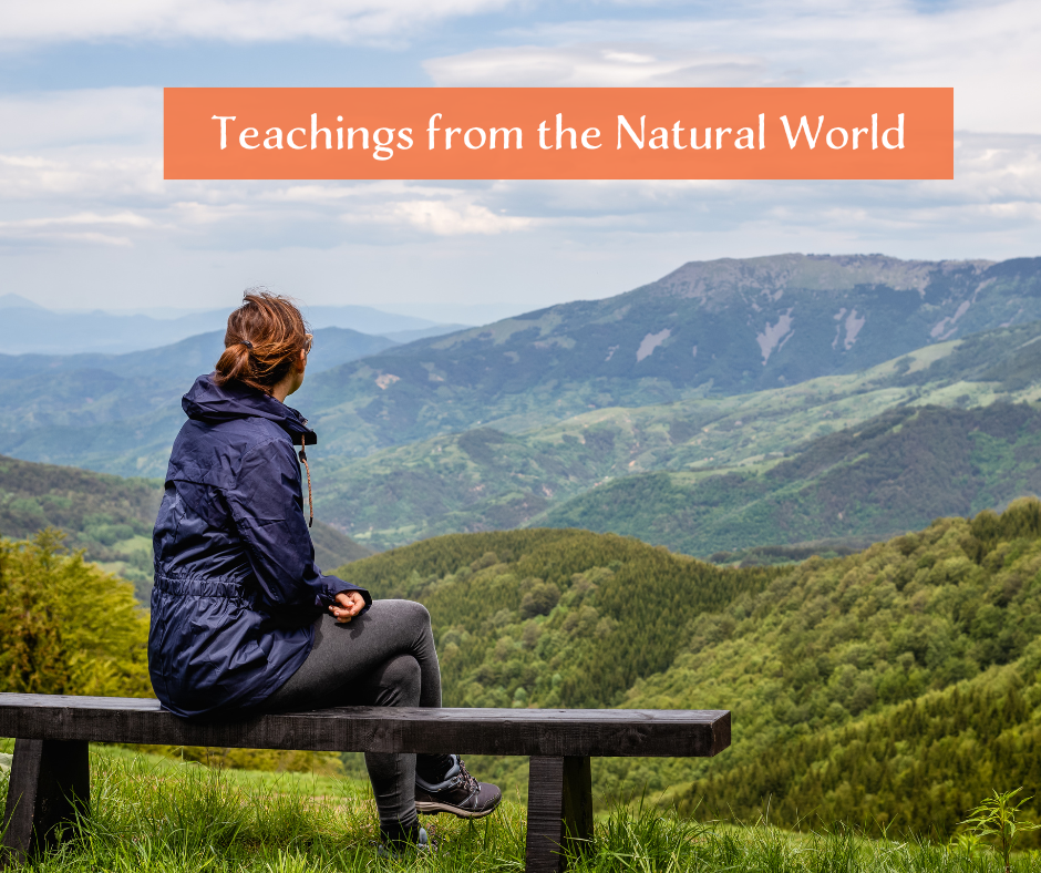 Teachings from the Natural World