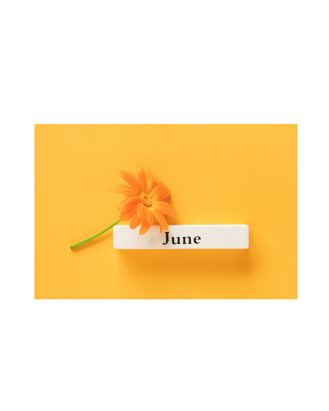 Monthly Moments -June
