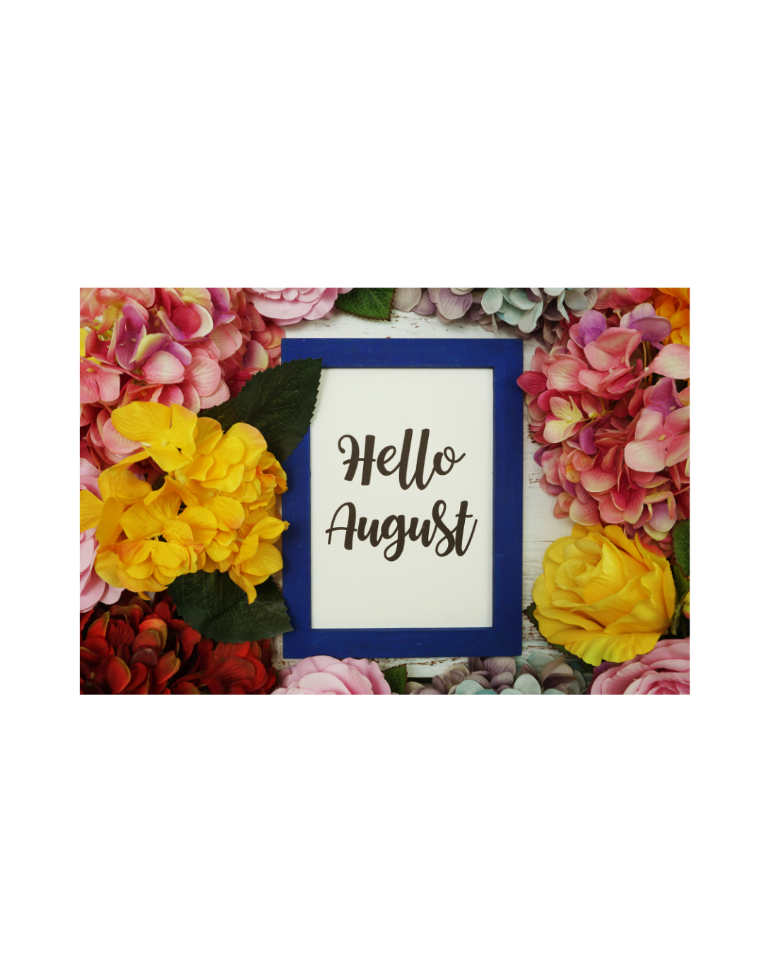Monthly Moments -August