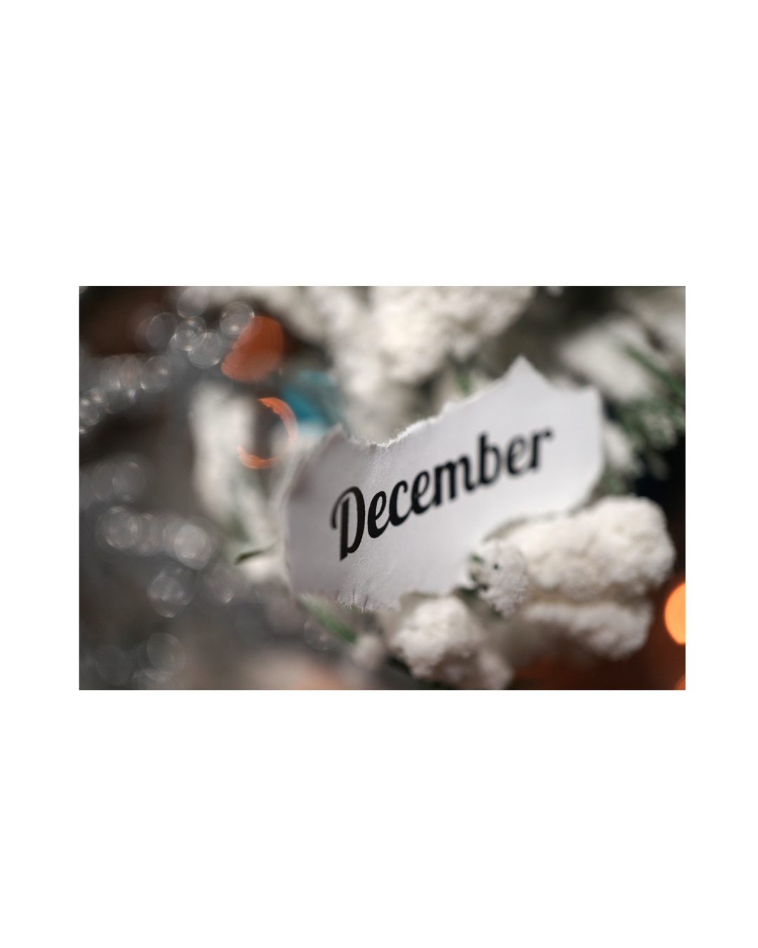 Monthly Moments -December