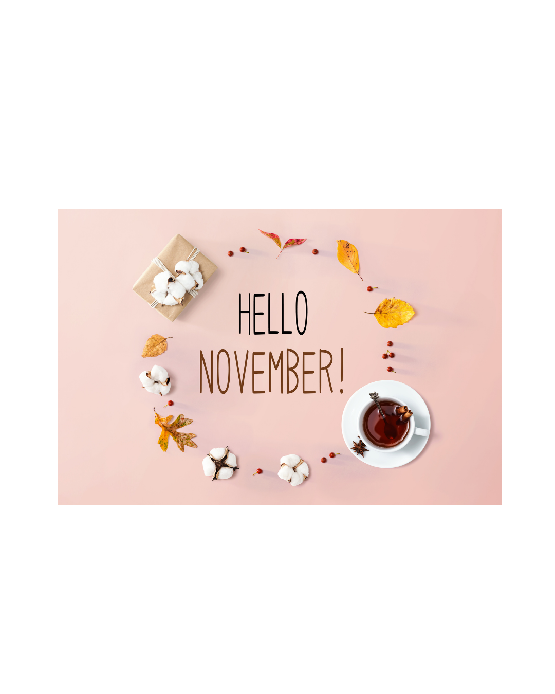 Monthly Moments -November