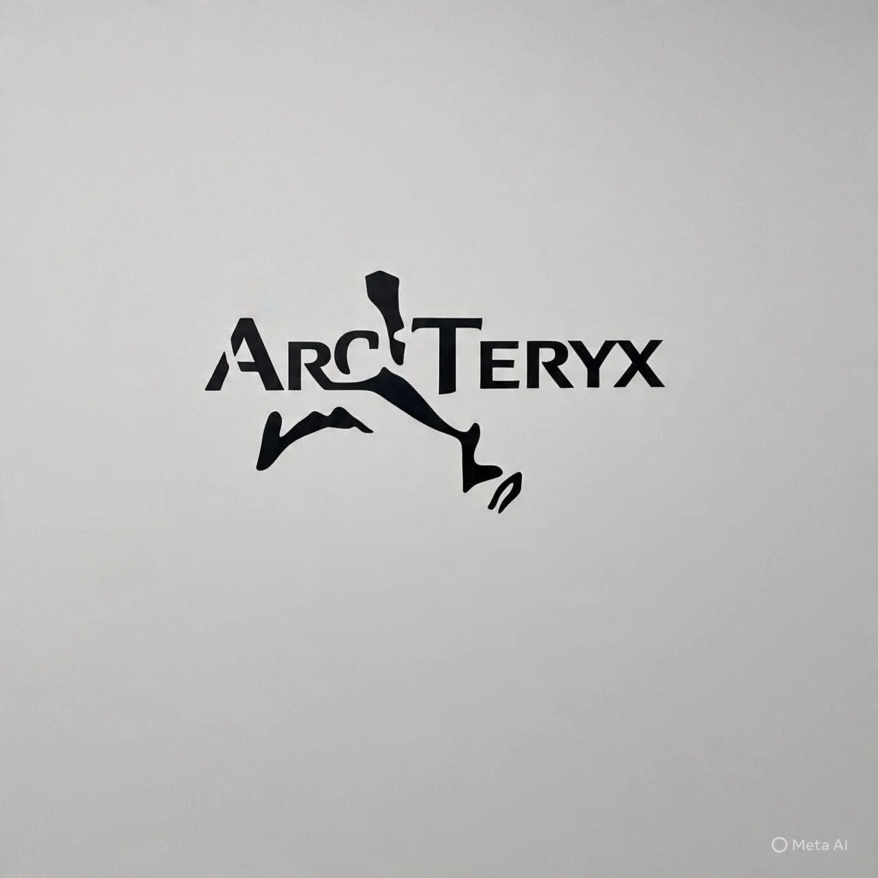 ARC-TERYX  S. DE R.L. 