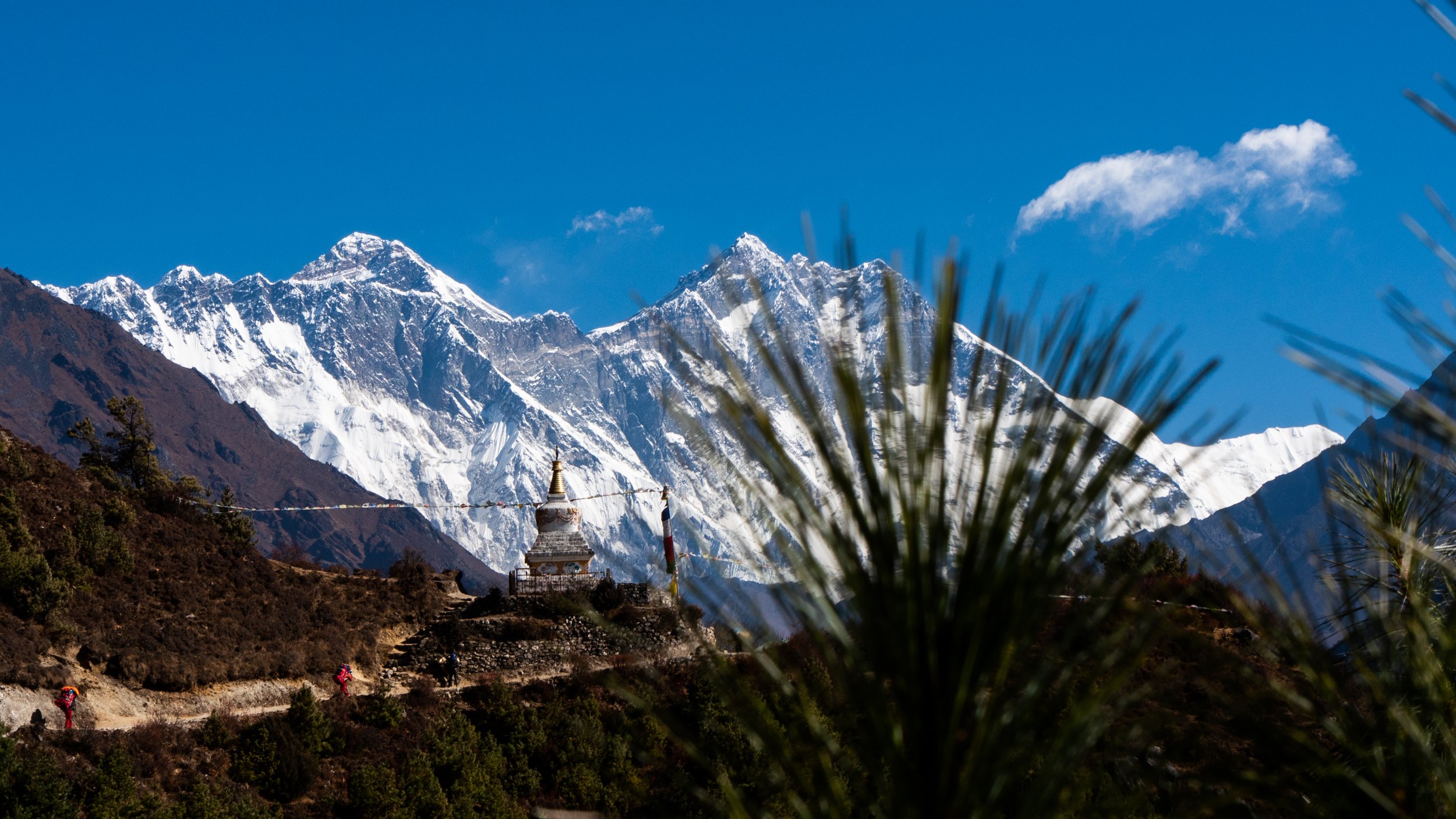 Everest.PalmTemple_5_20181112_P1420705.jpg